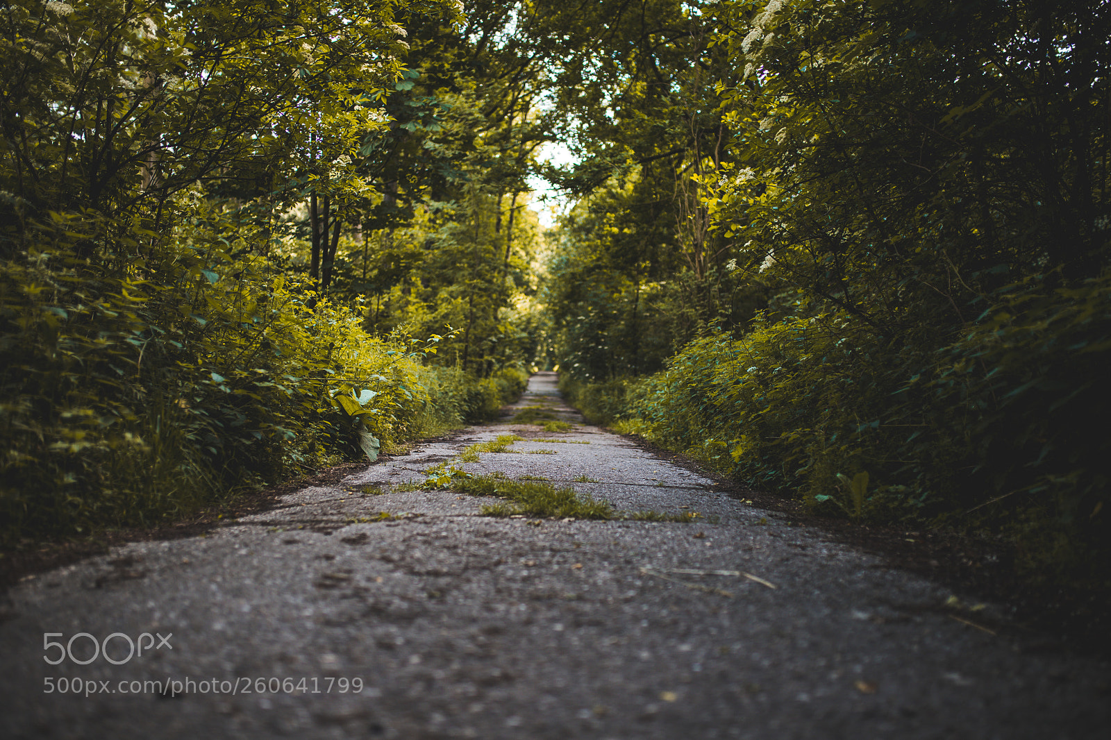Canon EOS 6D Mark II sample photo. Broken path photography