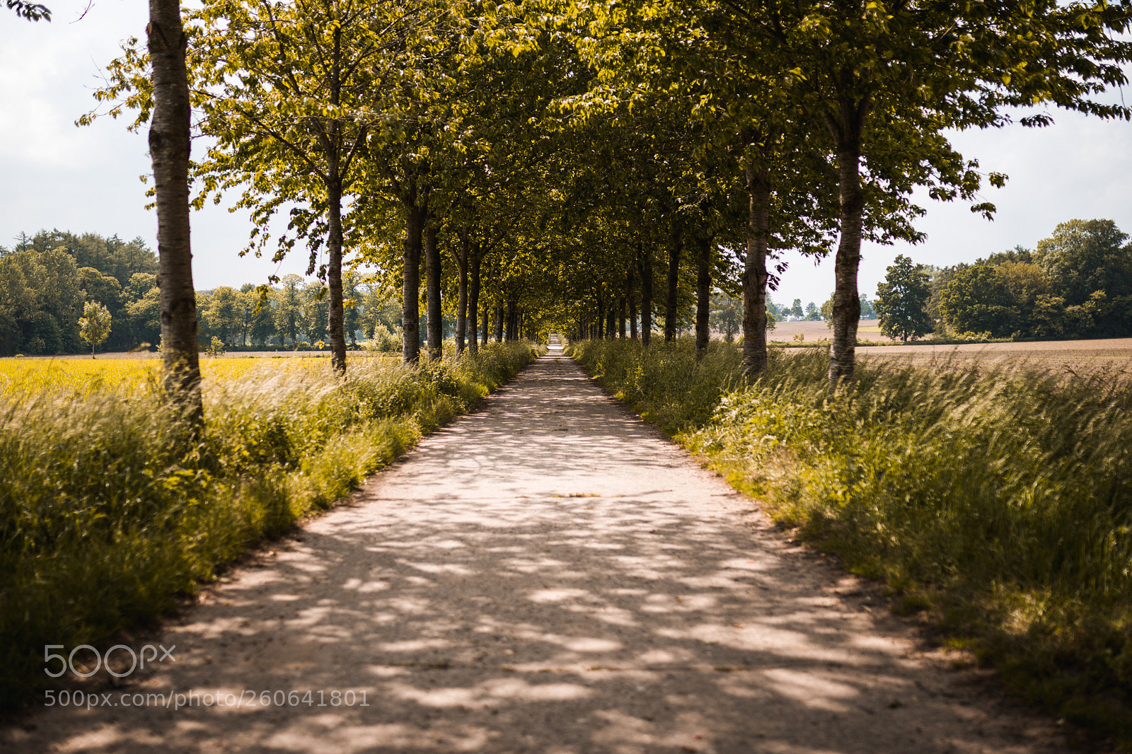 Canon EOS 6D Mark II sample photo. Sunny roads photography