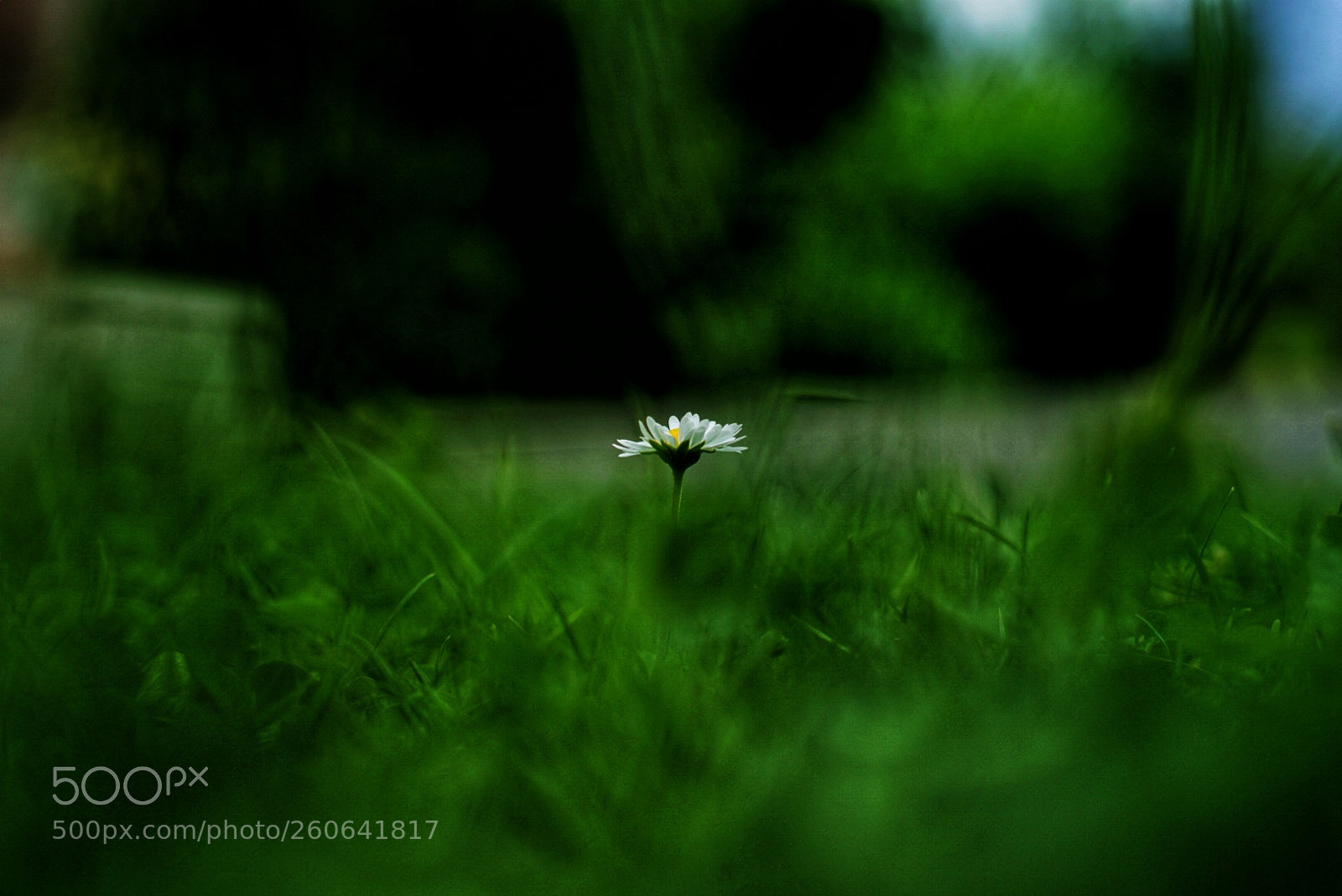 Sony a6000 sample photo. Distortion photography