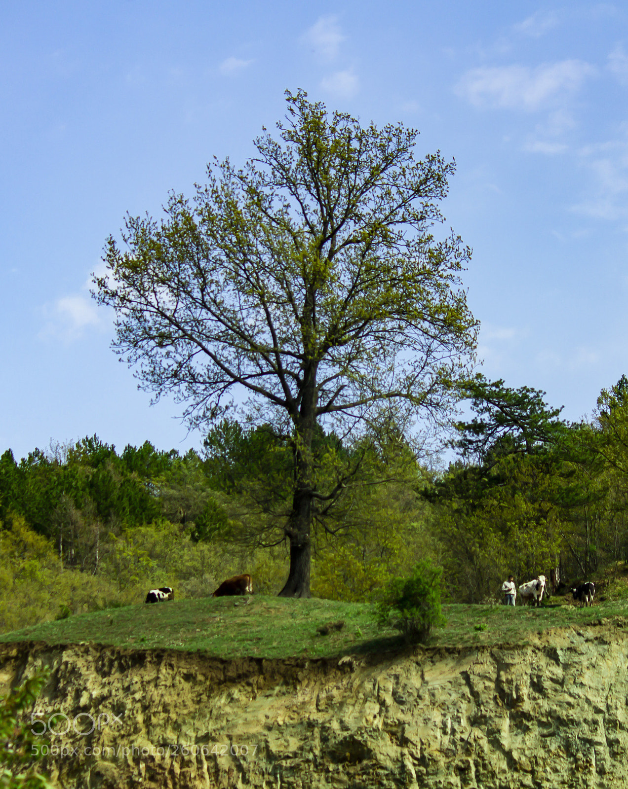 Canon EOS 60D sample photo. *+* photography