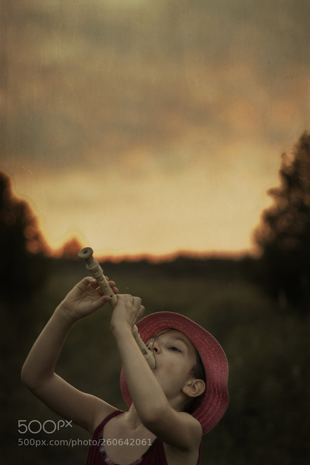 Canon EOS 7D Mark II sample photo. Legend photography