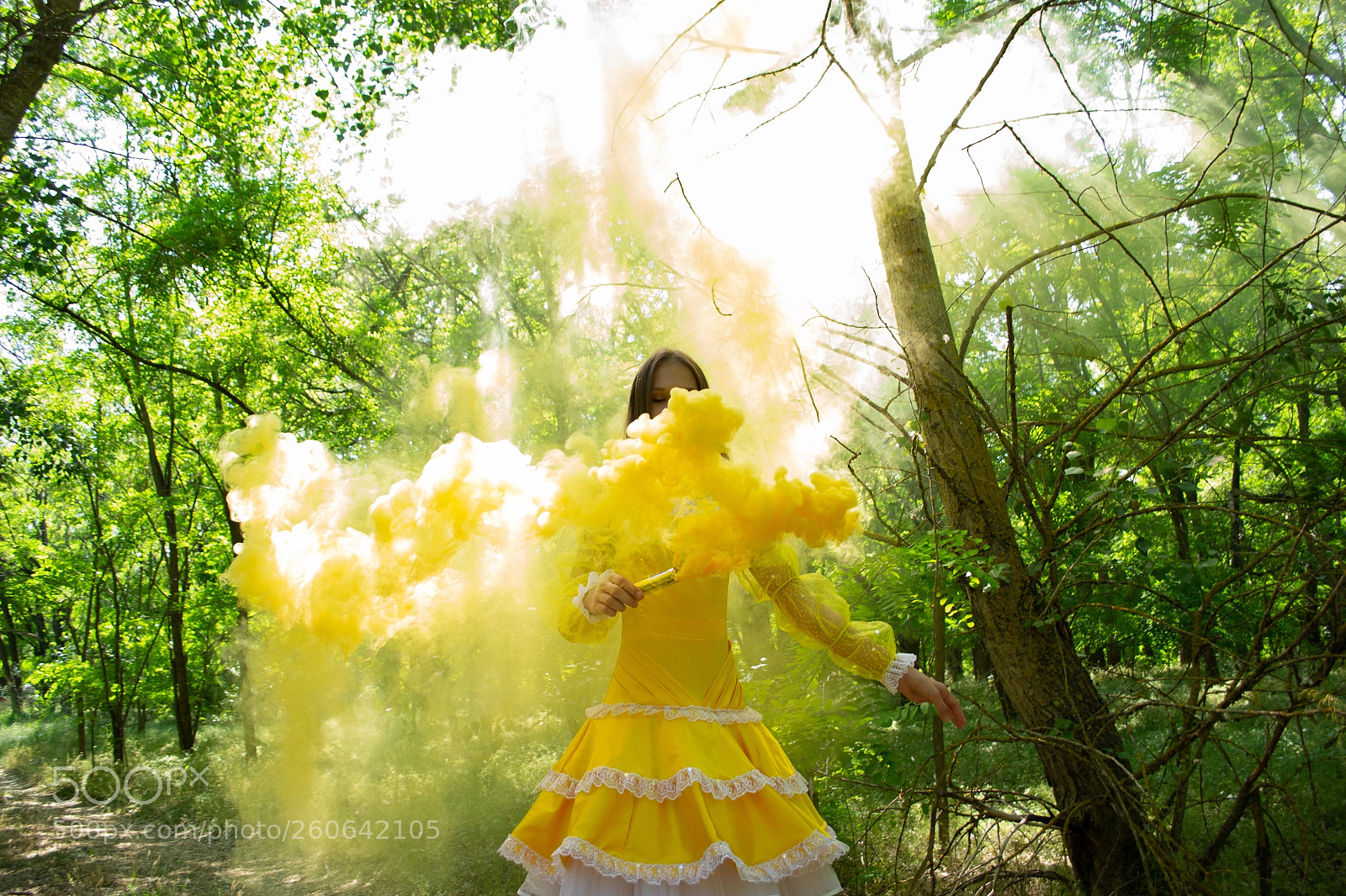Nikon D3100 sample photo. Yellow tale photography