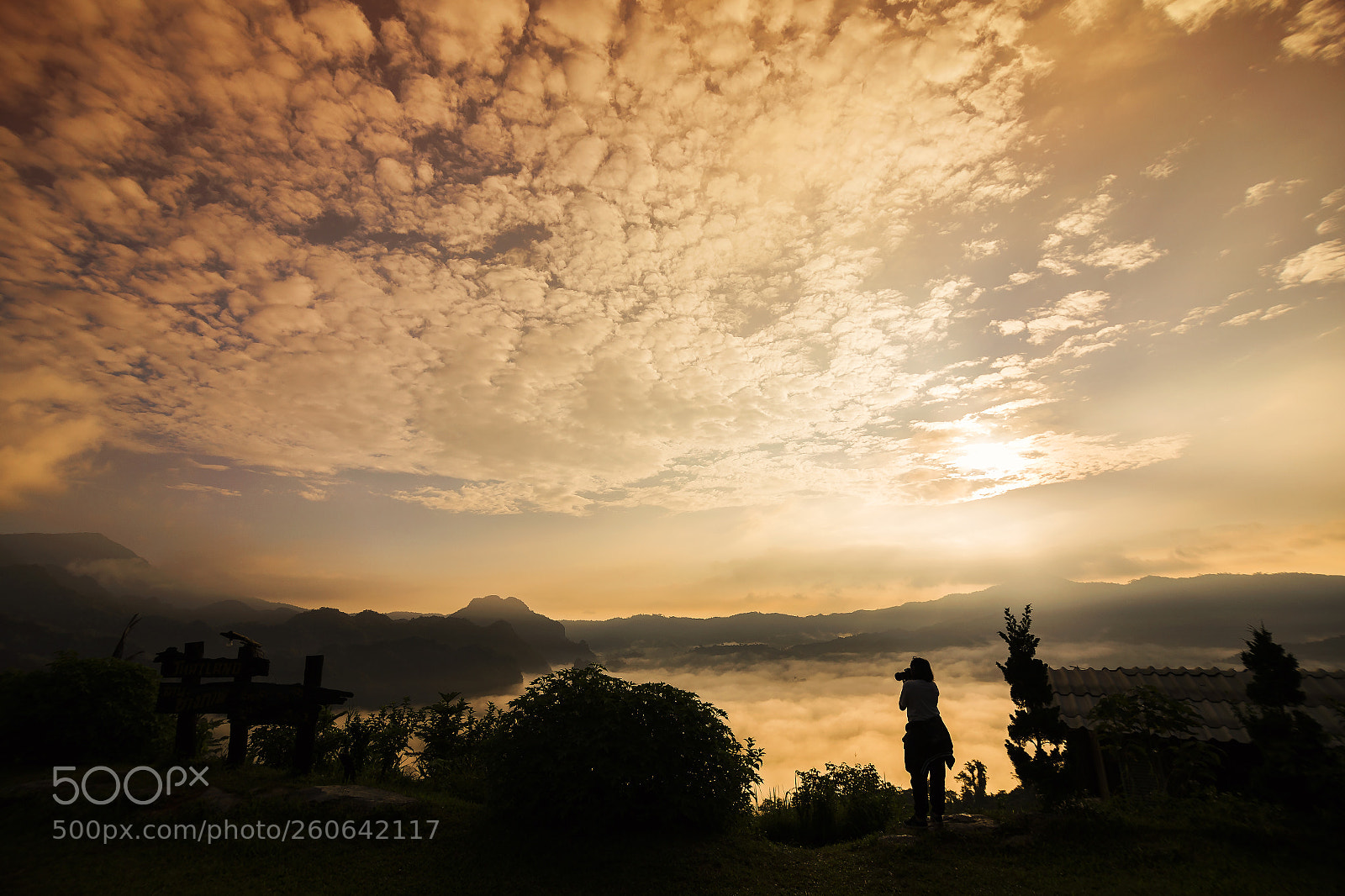 Canon EOS 6D sample photo. Phu lungka, payoa, thailand.morning photography