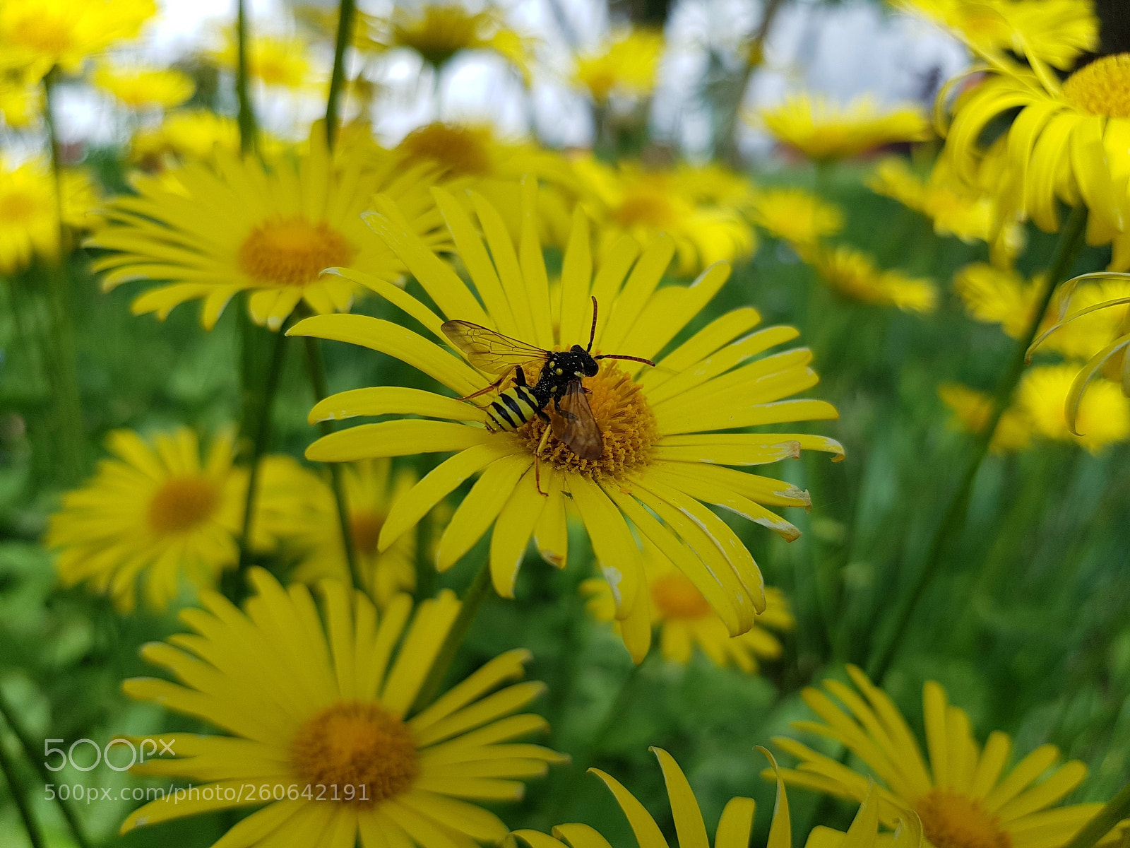 Samsung Galaxy S8 sample photo. Untitled photography