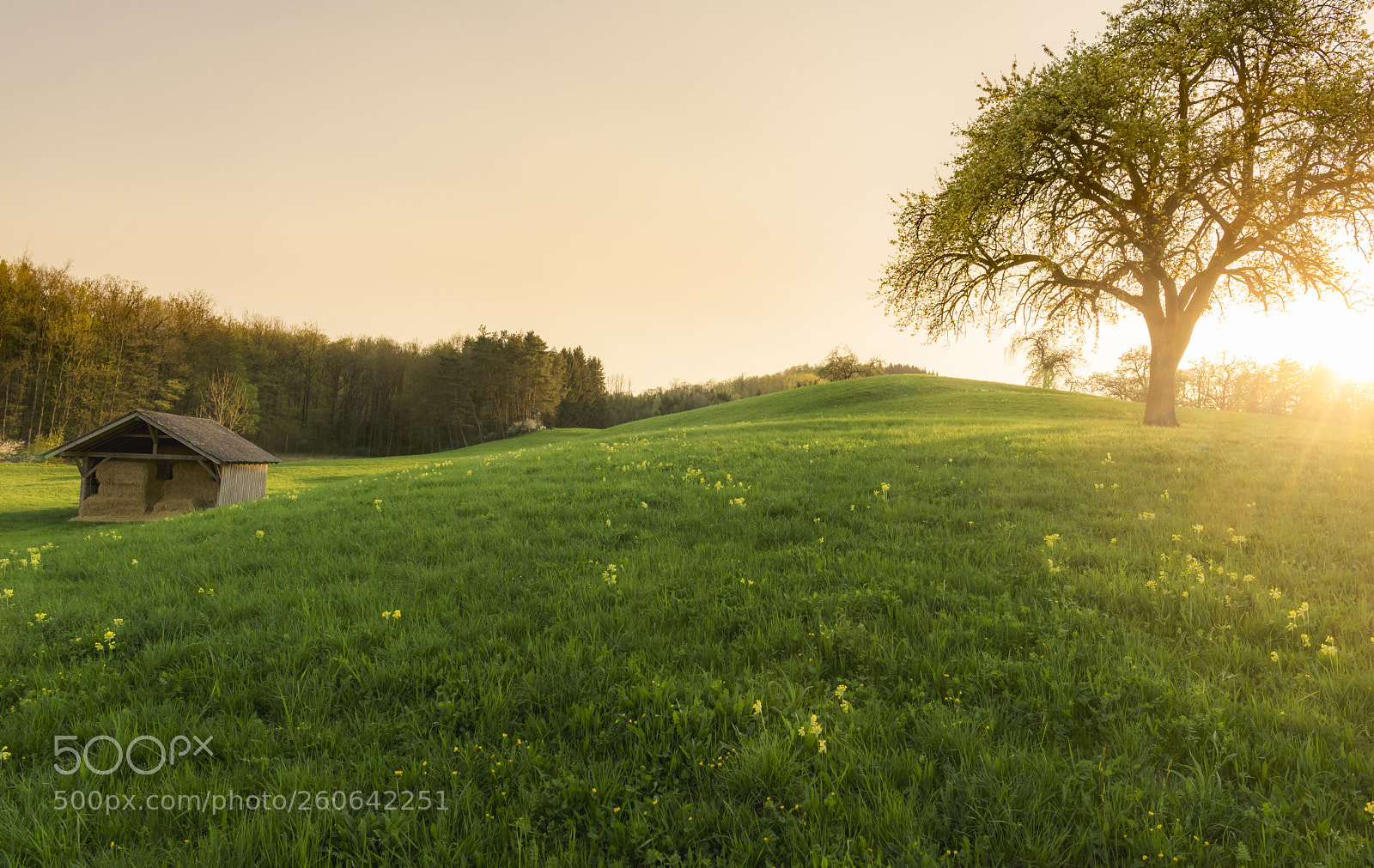 Nikon D750 sample photo. Sunset over a barn photography