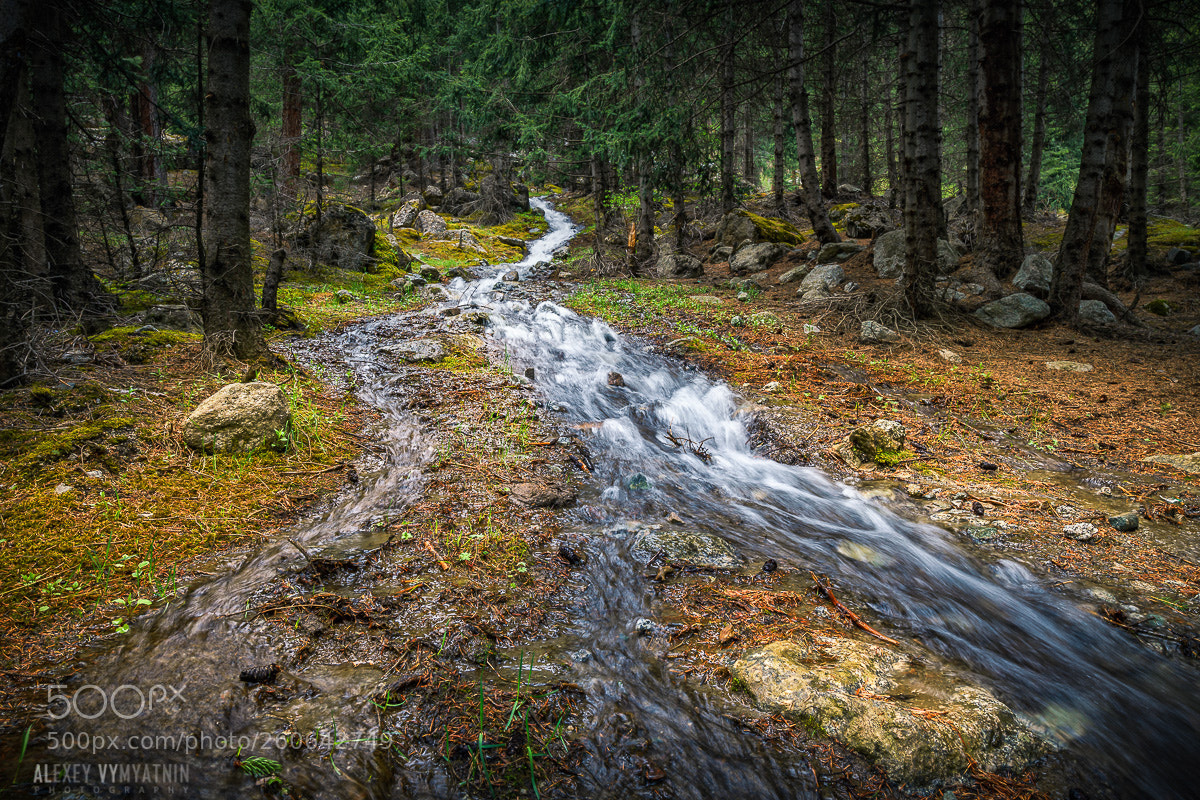 Sony a7 II sample photo. River in the forest photography