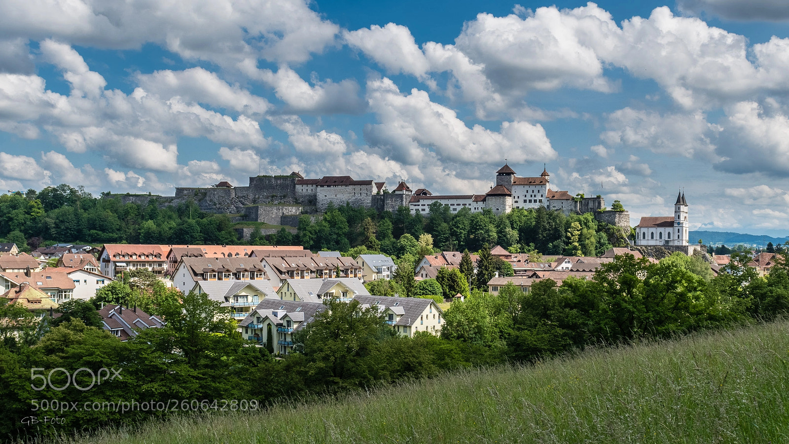 Nikon D500 sample photo. Festung von aarburg photography