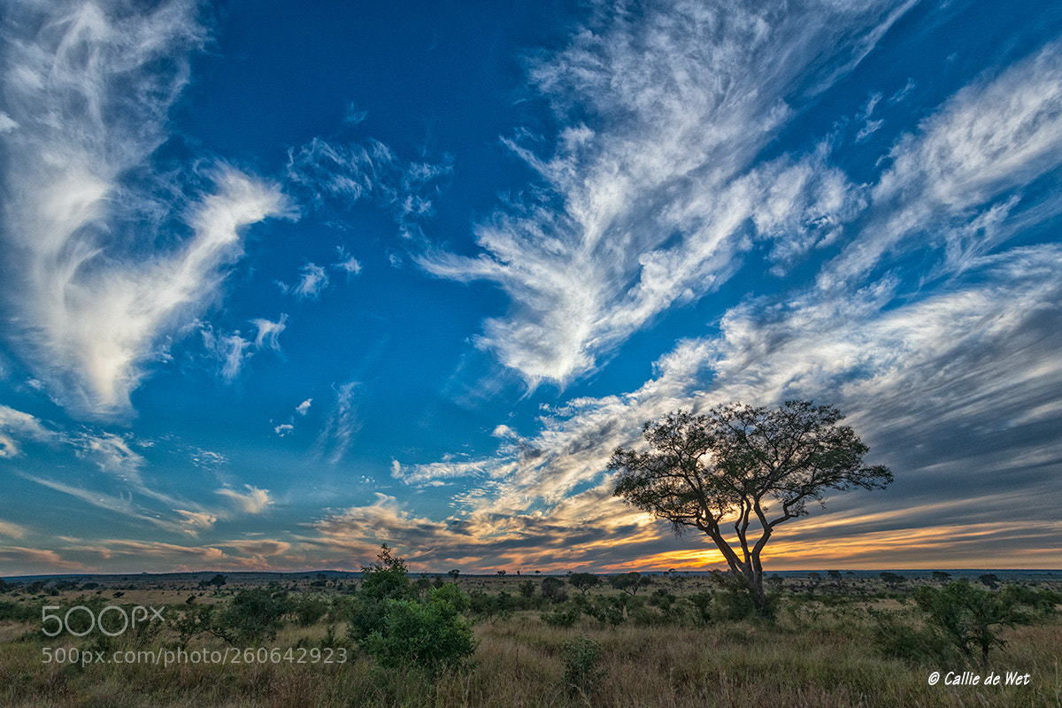 Nikon D850 sample photo. Sunrise photography