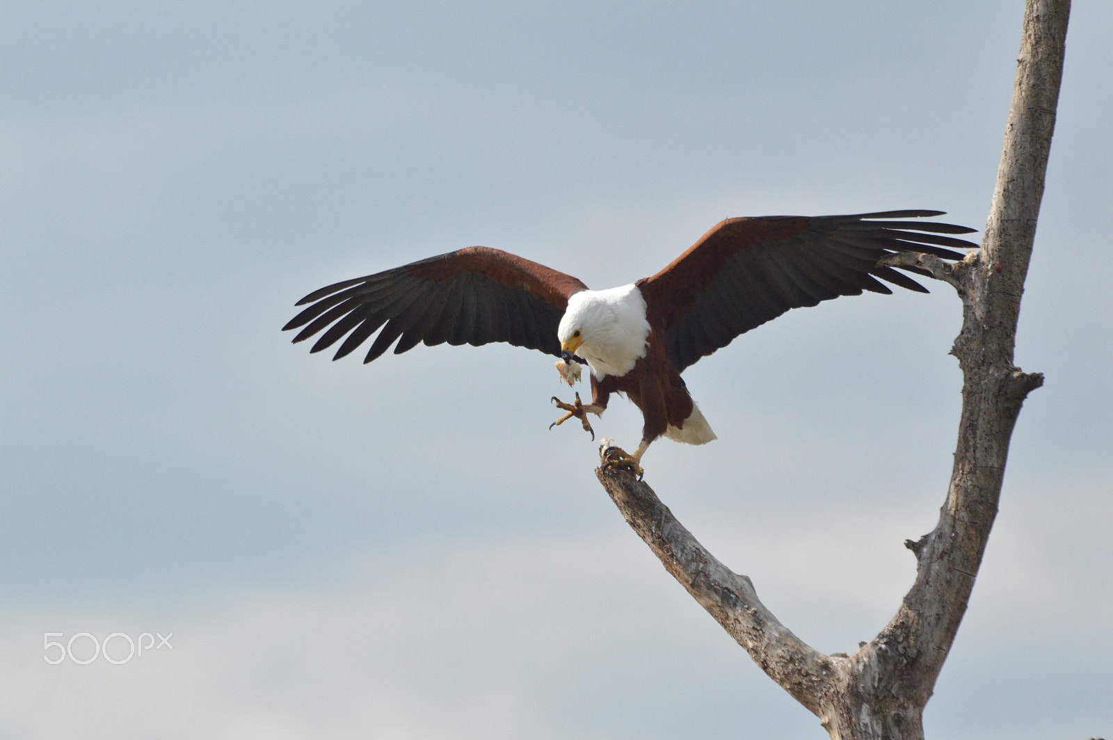 Nikon D3200 sample photo. Fishing trip photography