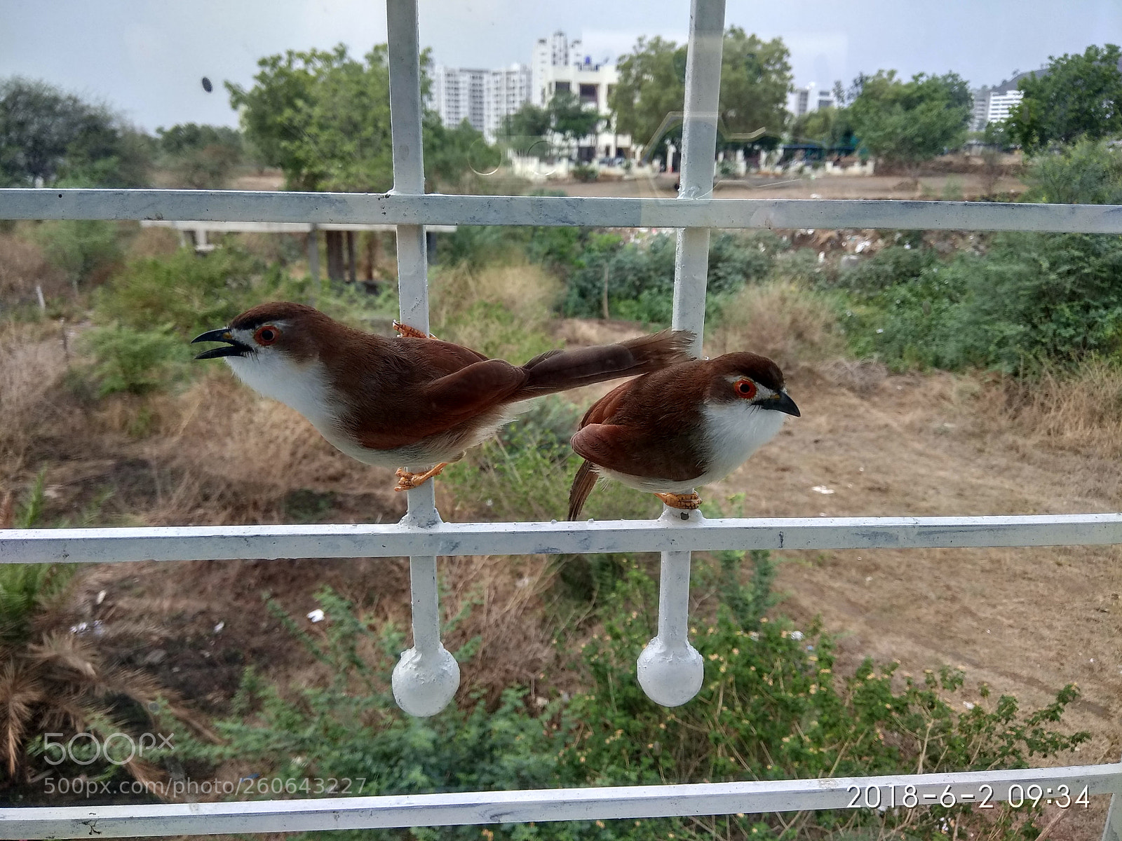 Xiaomi Redmi Note 4 sample photo. Untitled photography