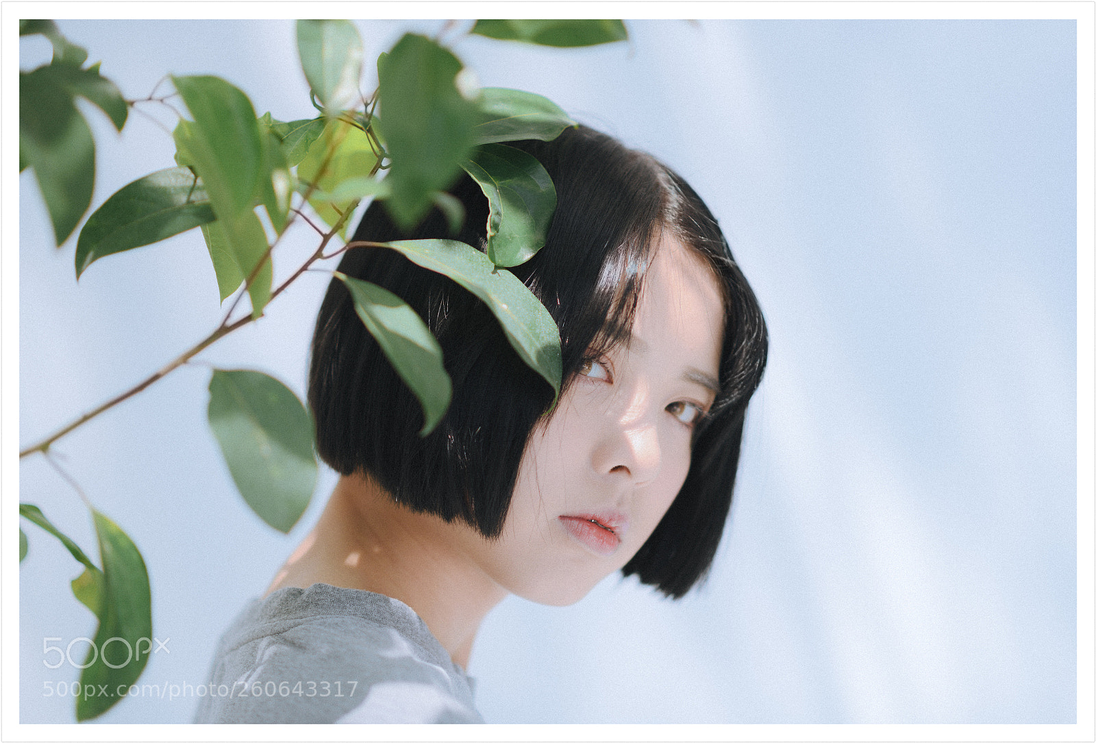Nikon D850 sample photo. Untitled photography