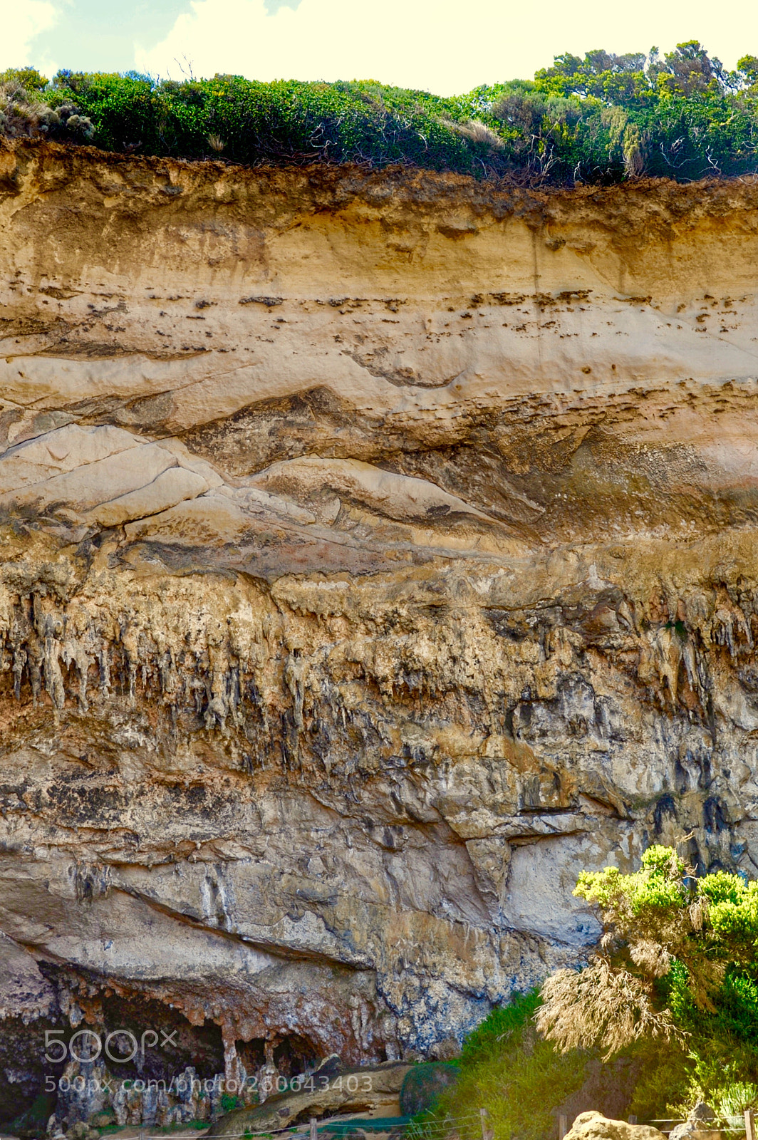 Nikon D700 sample photo. 《natural murals.》 photography