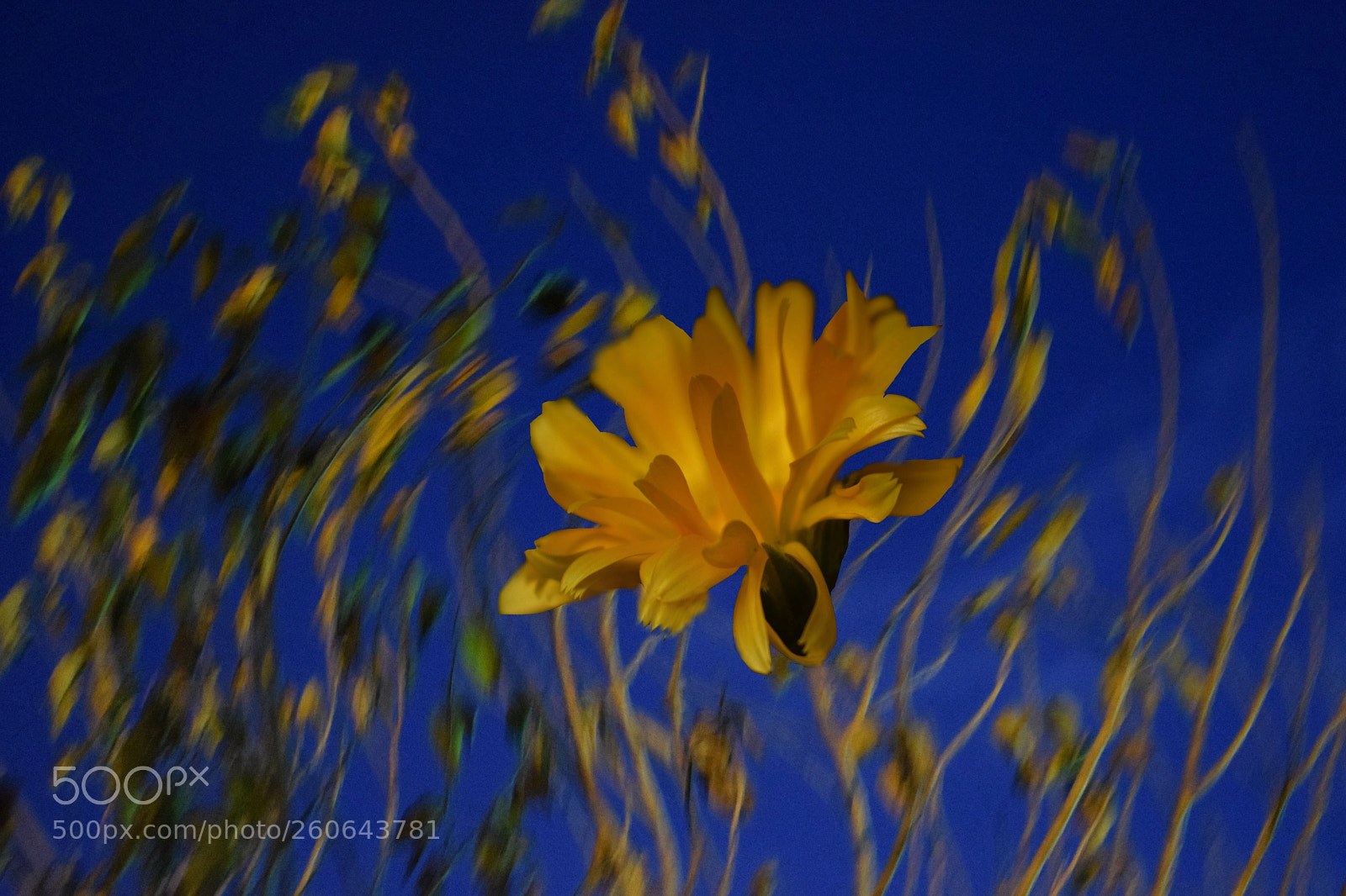 Nikon D3300 sample photo. Brisa de otoño photography