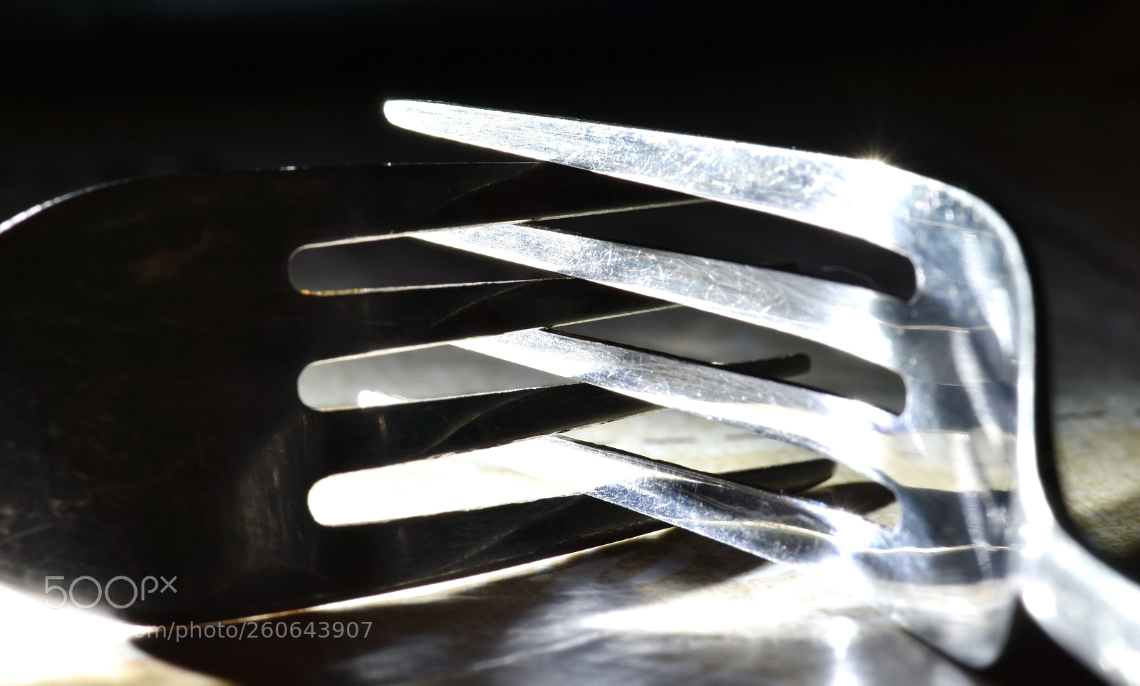 Nikon D7200 sample photo. Couple of forks photography