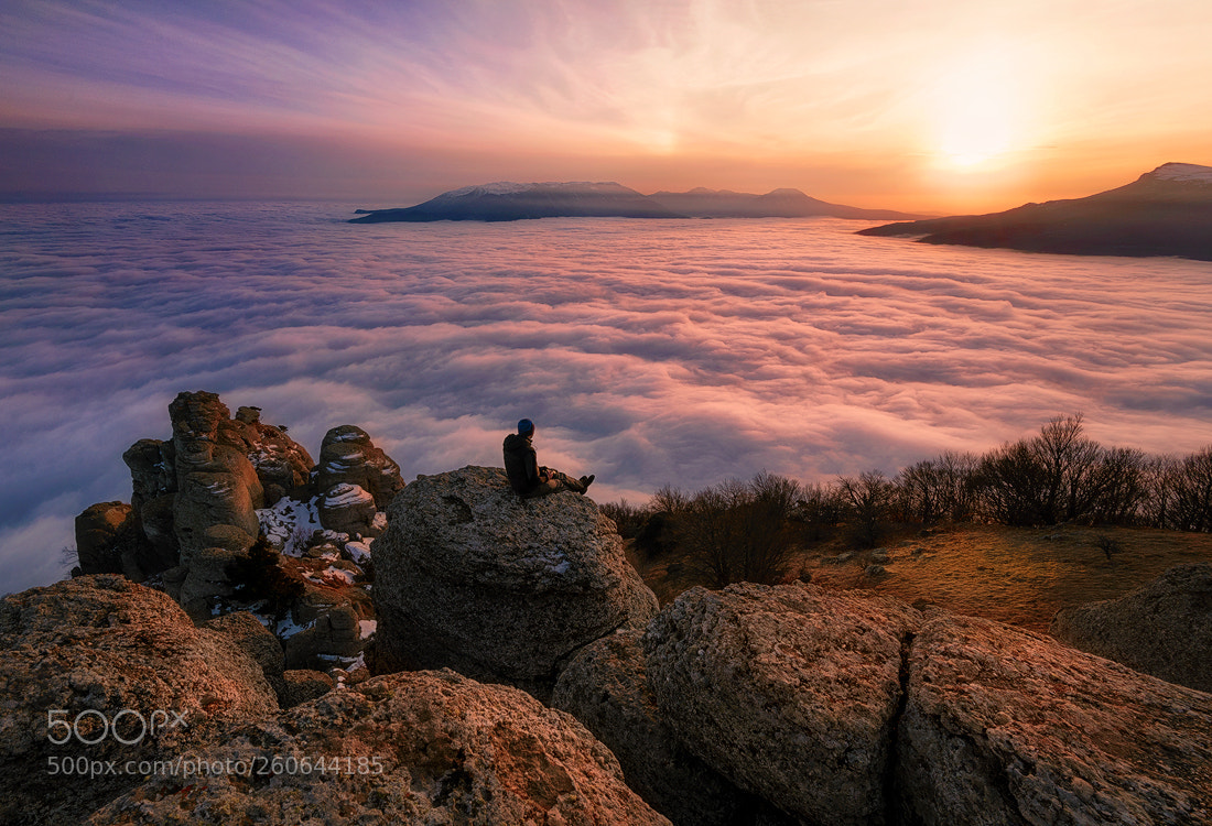 Nikon D610 sample photo. Above the clouds photography