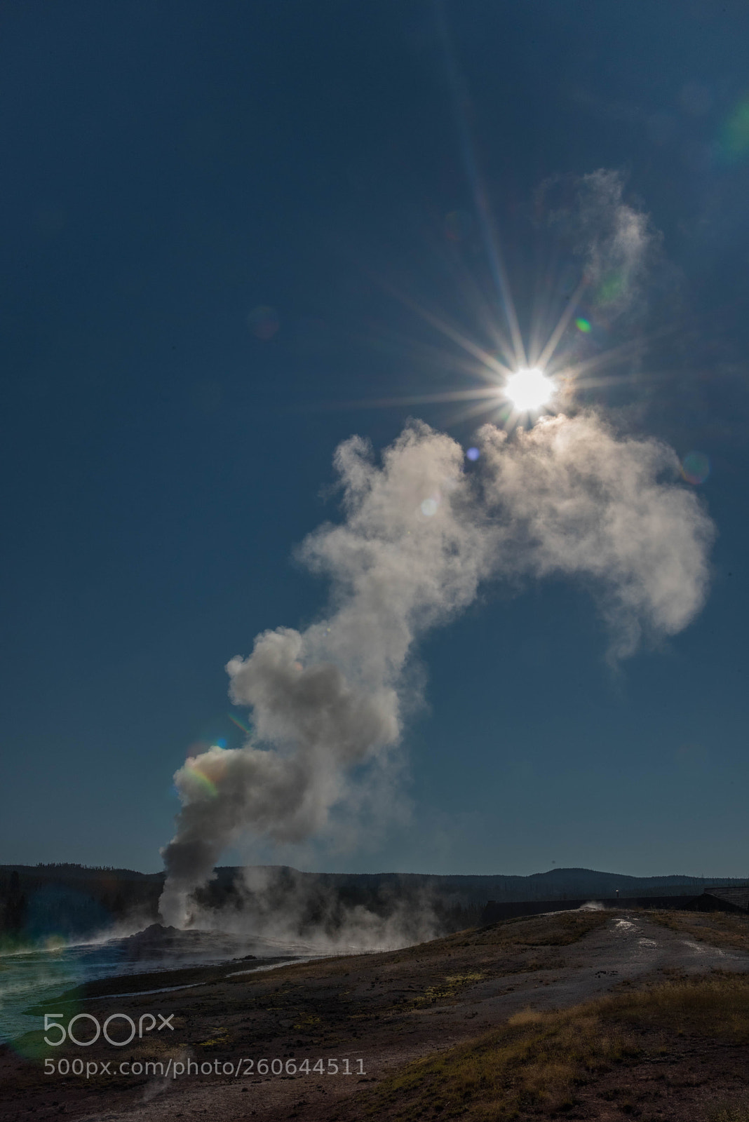 Nikon D810 sample photo. Old faithful and the photography