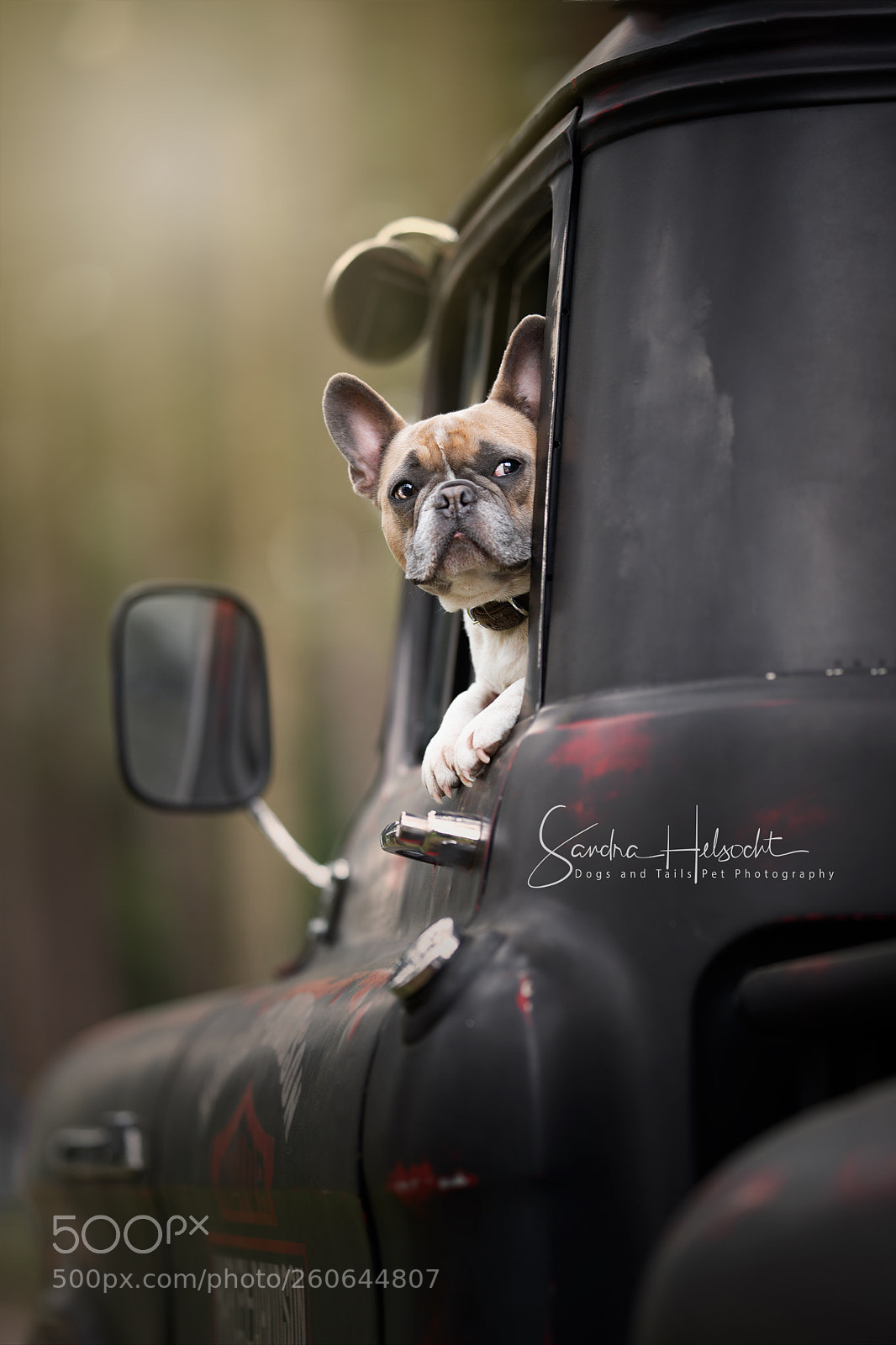 Nikon D800 sample photo. My  ride photography