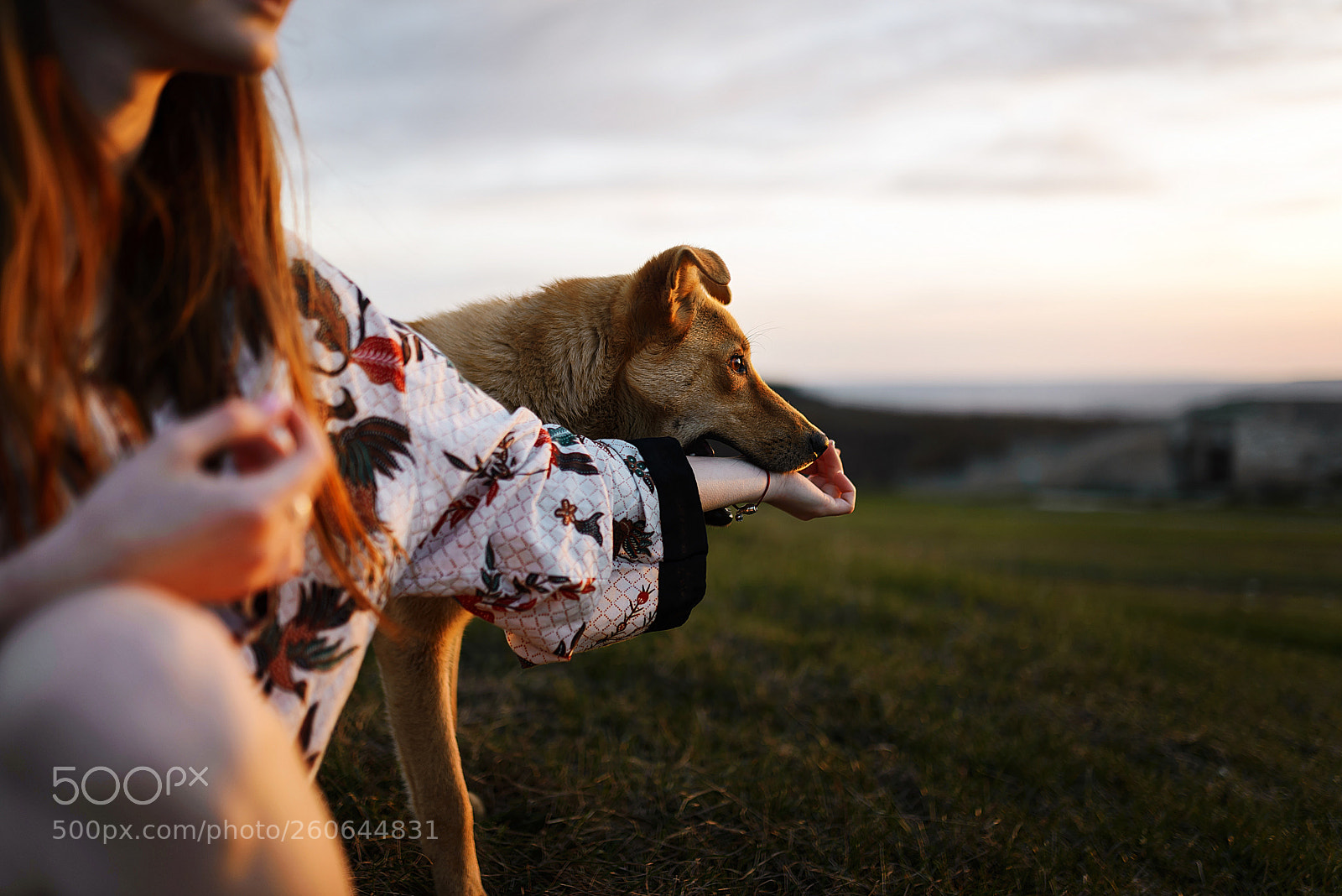 Nikon D610 sample photo. Portrait photography