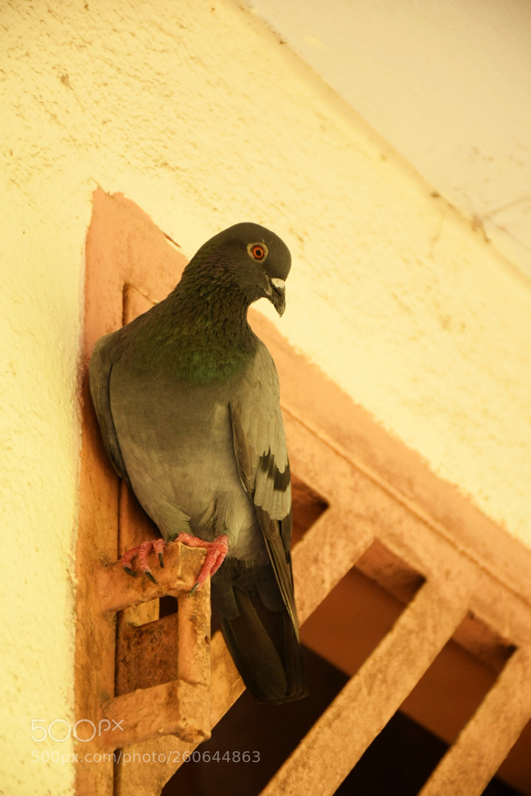 Nikon D5300 sample photo. Untitled photography
