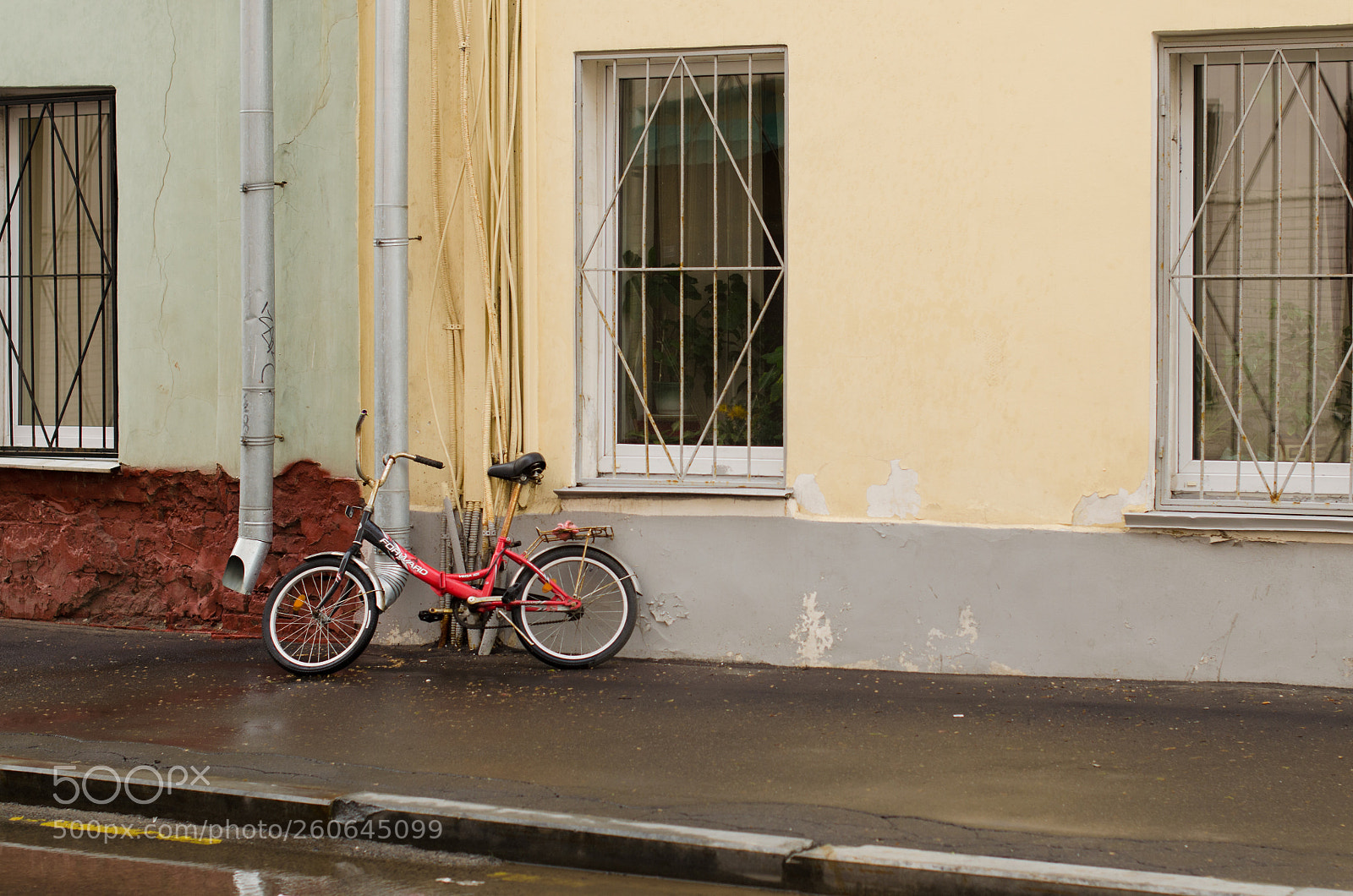 Nikon D5100 sample photo. Wall photography