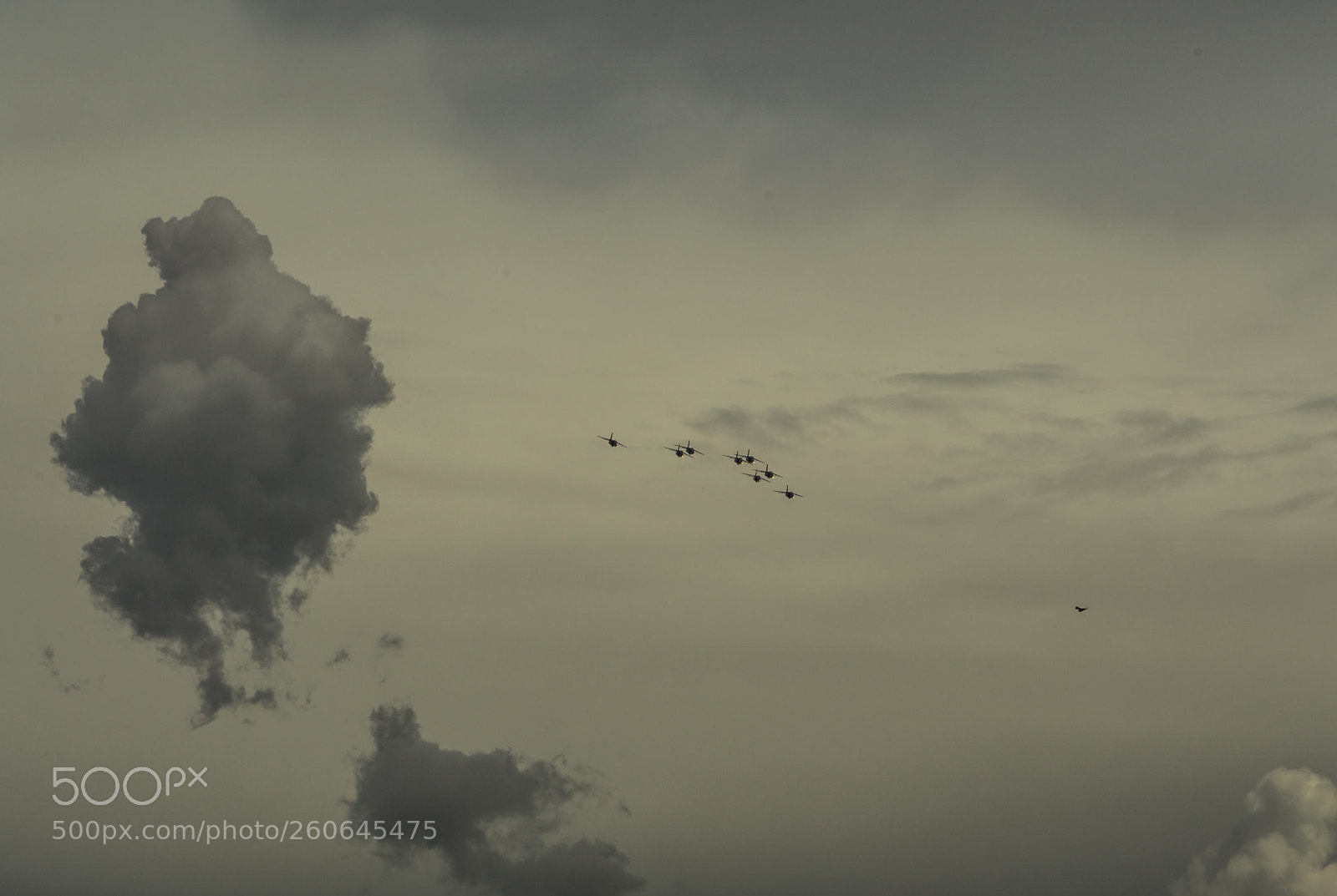 Nikon D3200 sample photo. French acrobatic patrol #1 photography