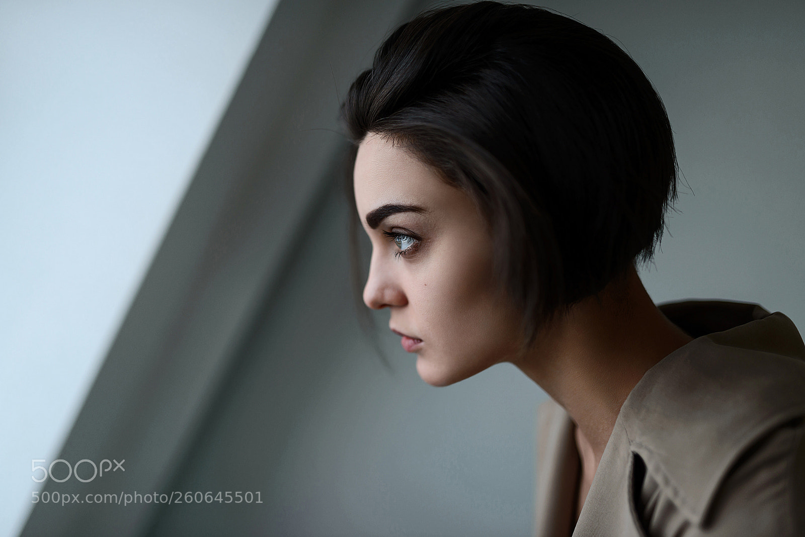 Nikon D610 sample photo. Аполлинария photography