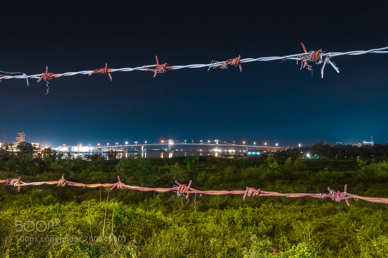 Nikon D5500 sample photo. Marcelo fernan bridge photography
