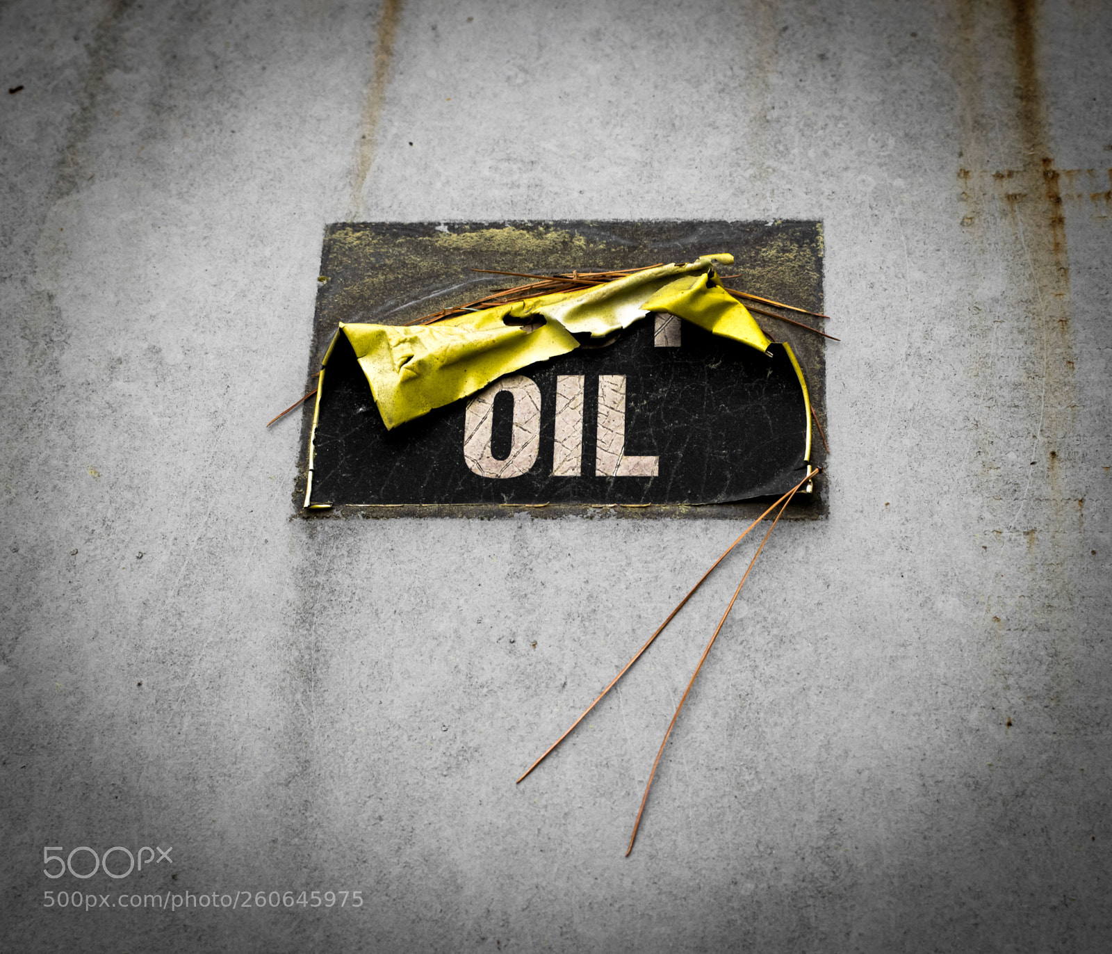 Nikon D5300 sample photo. Oil photography