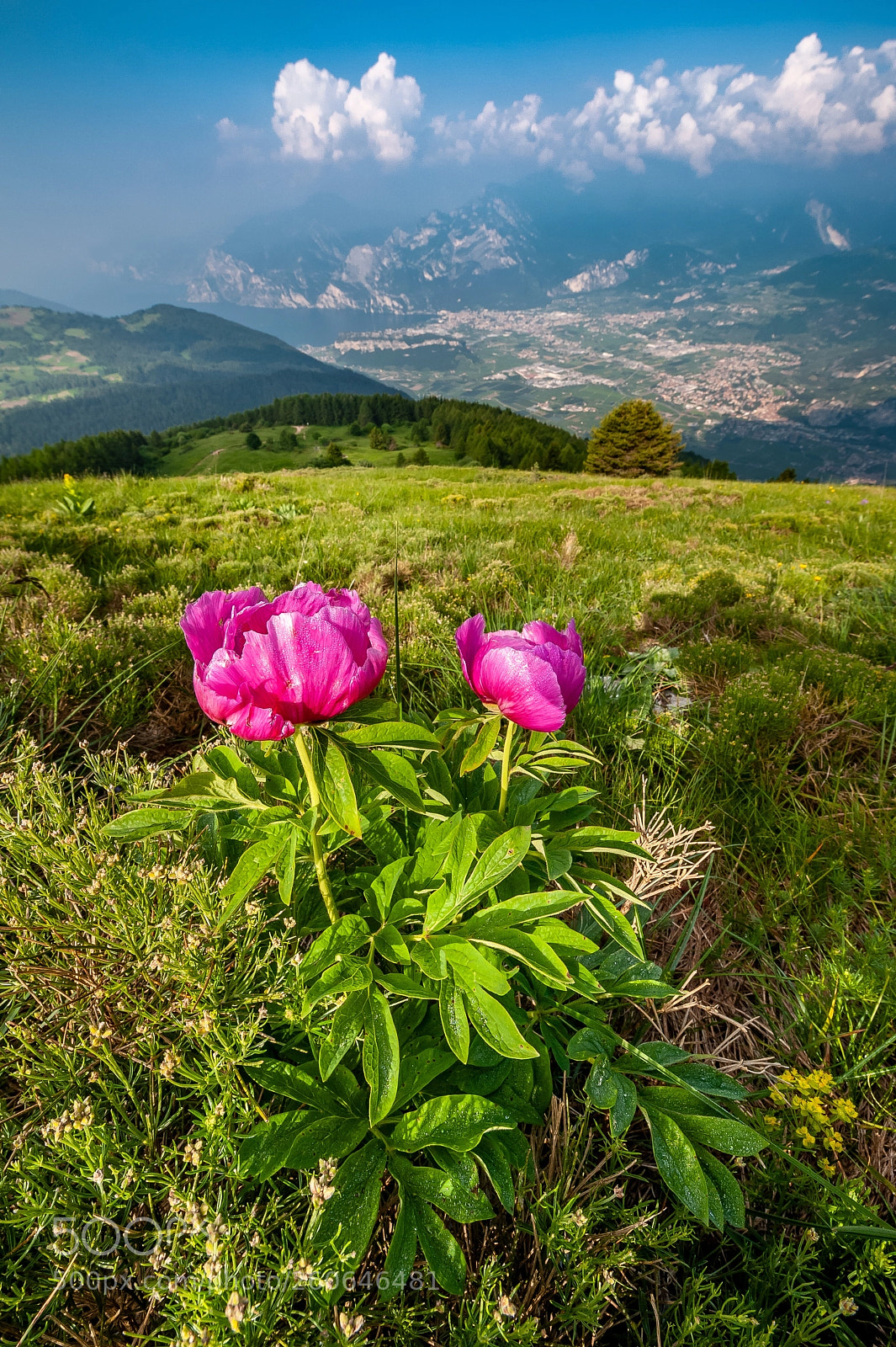 Nikon D700 sample photo. Monte stivo lago di photography