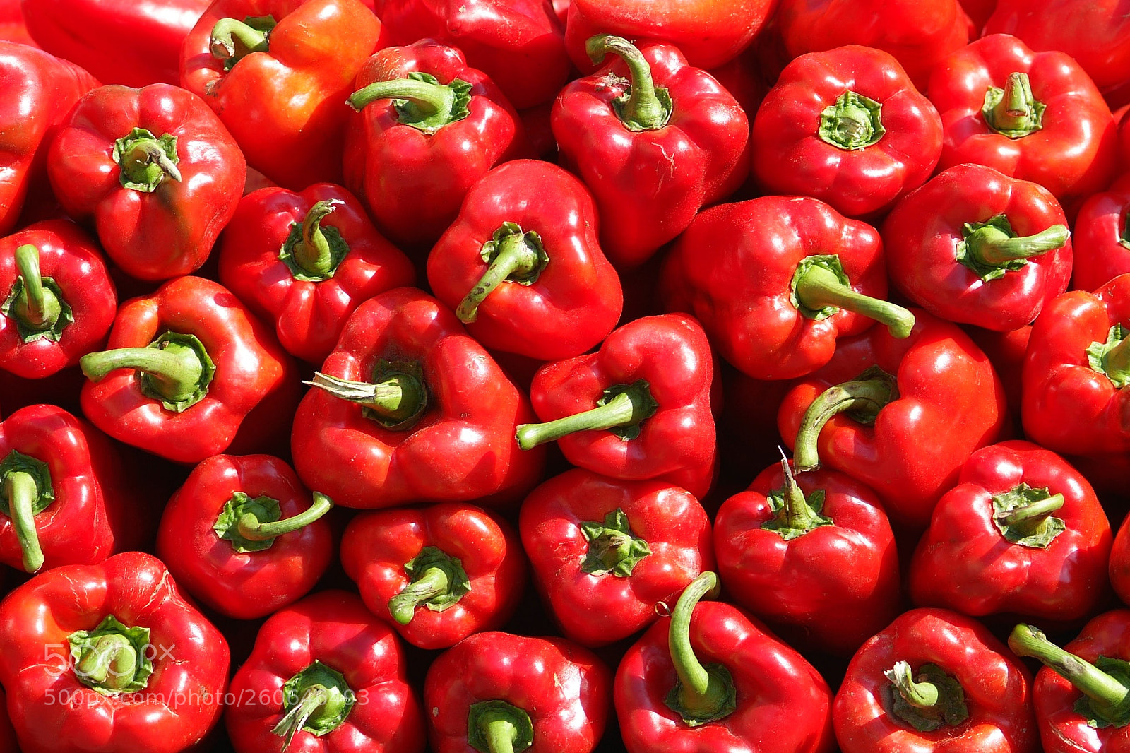 Fujifilm FinePix S3 Pro sample photo. Red bell peppers photography