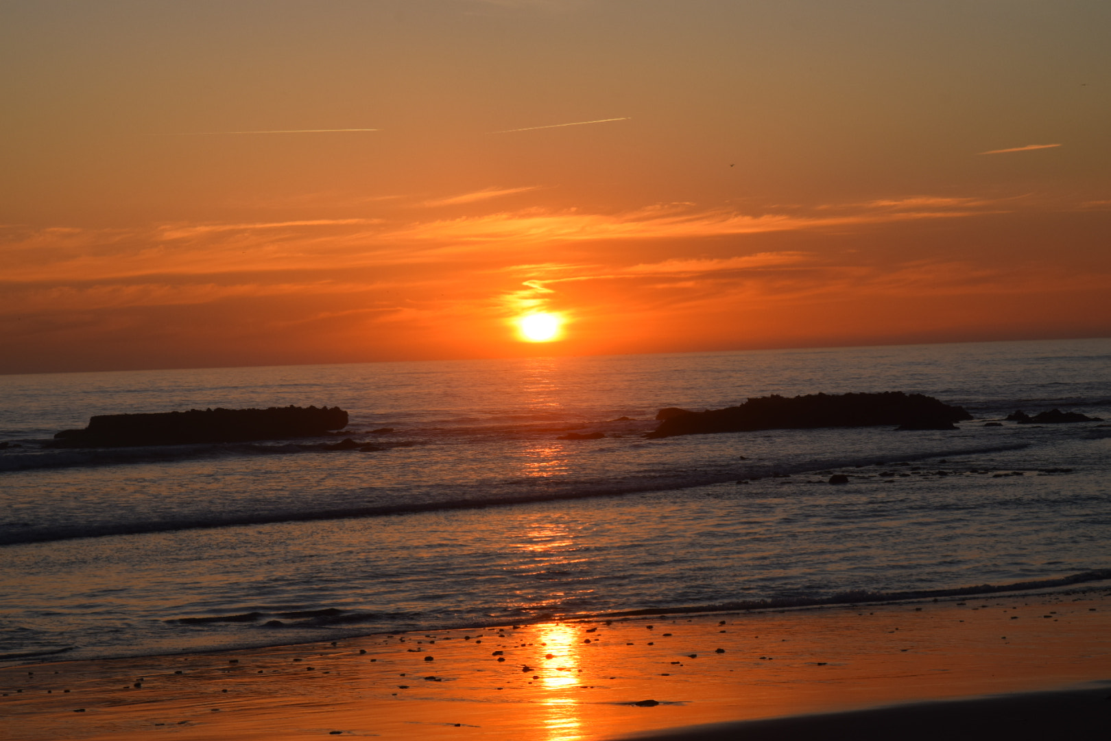 Nikon D5300 sample photo. Orange photography