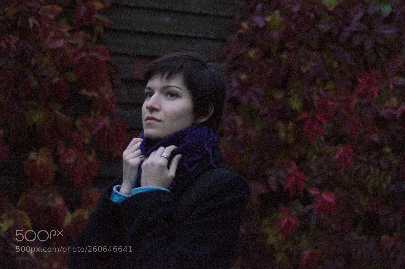 Nikon D90 sample photo. . photography