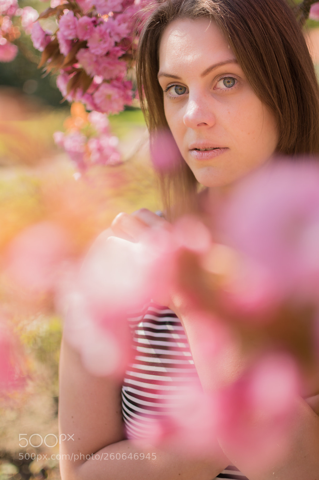 Nikon D5600 sample photo. J-u-l-i-a v. photography