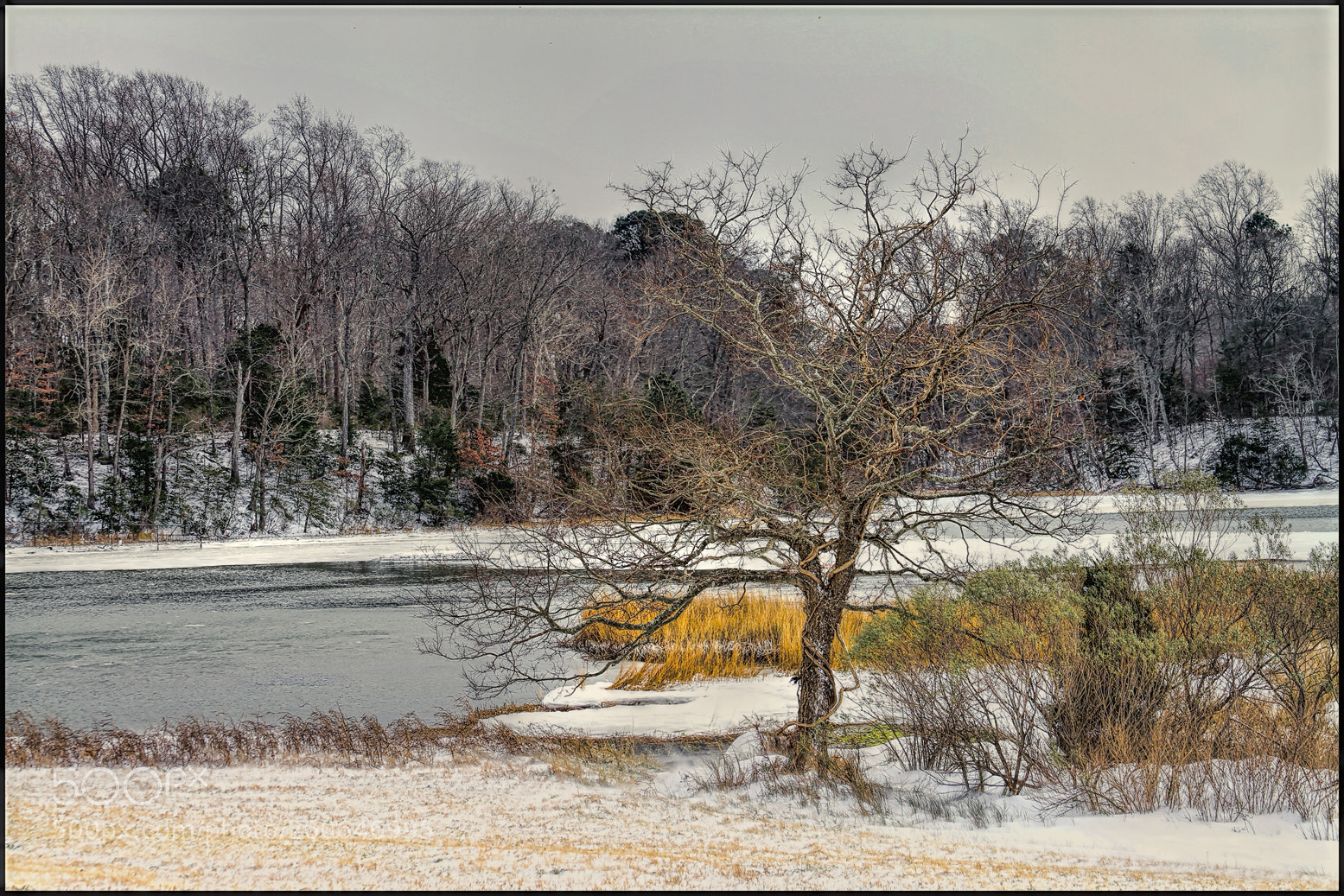 Canon EOS 7D sample photo. Blowing in the winter photography