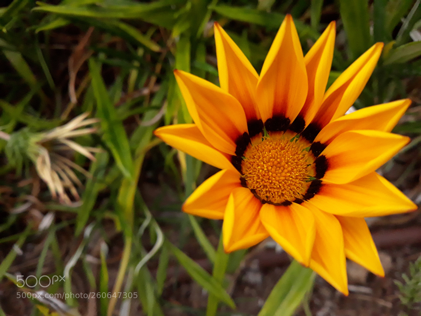 Samsung Galaxy J7 sample photo. Untitled photography