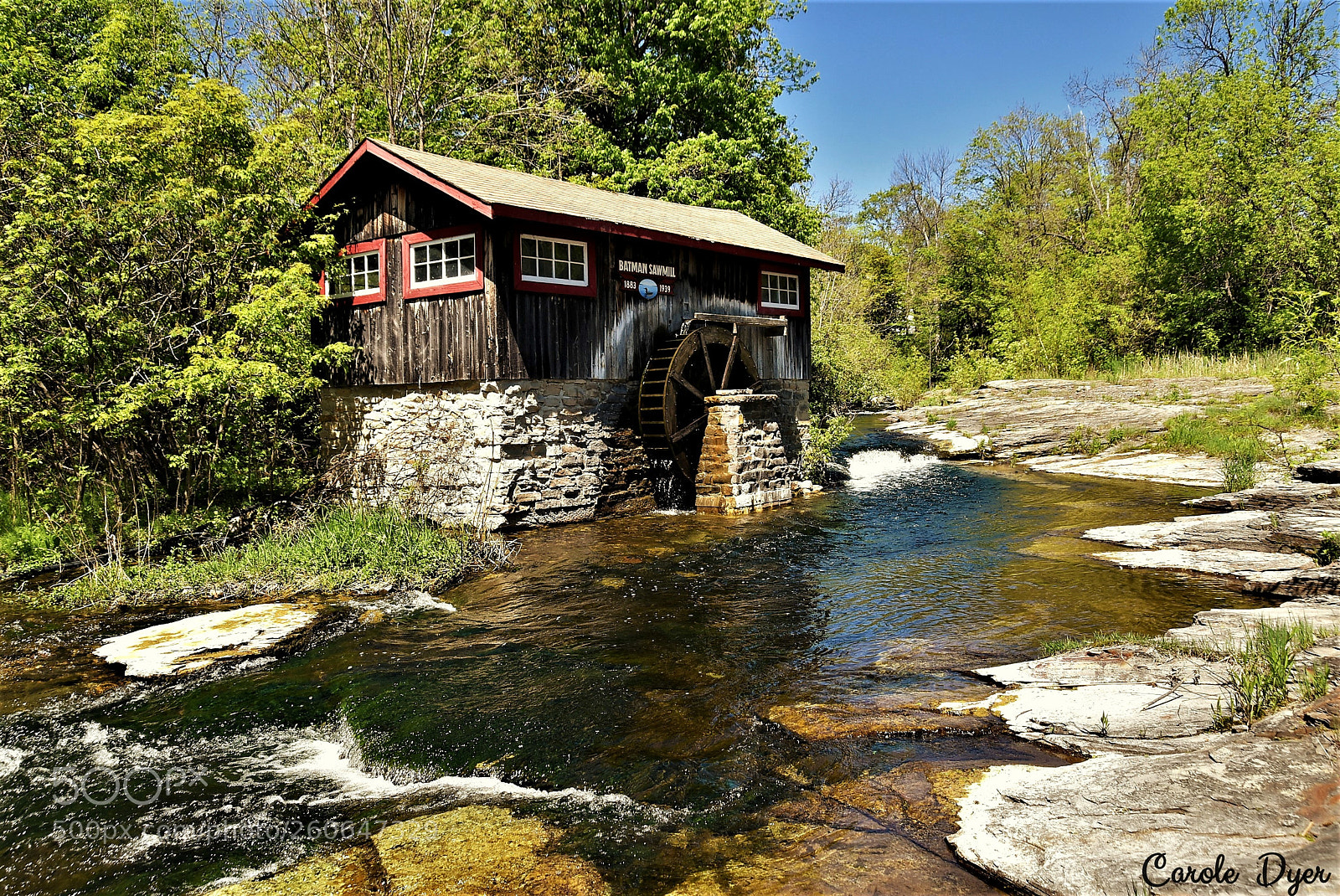 Nikon D5600 sample photo. Batman'ssawmill photography