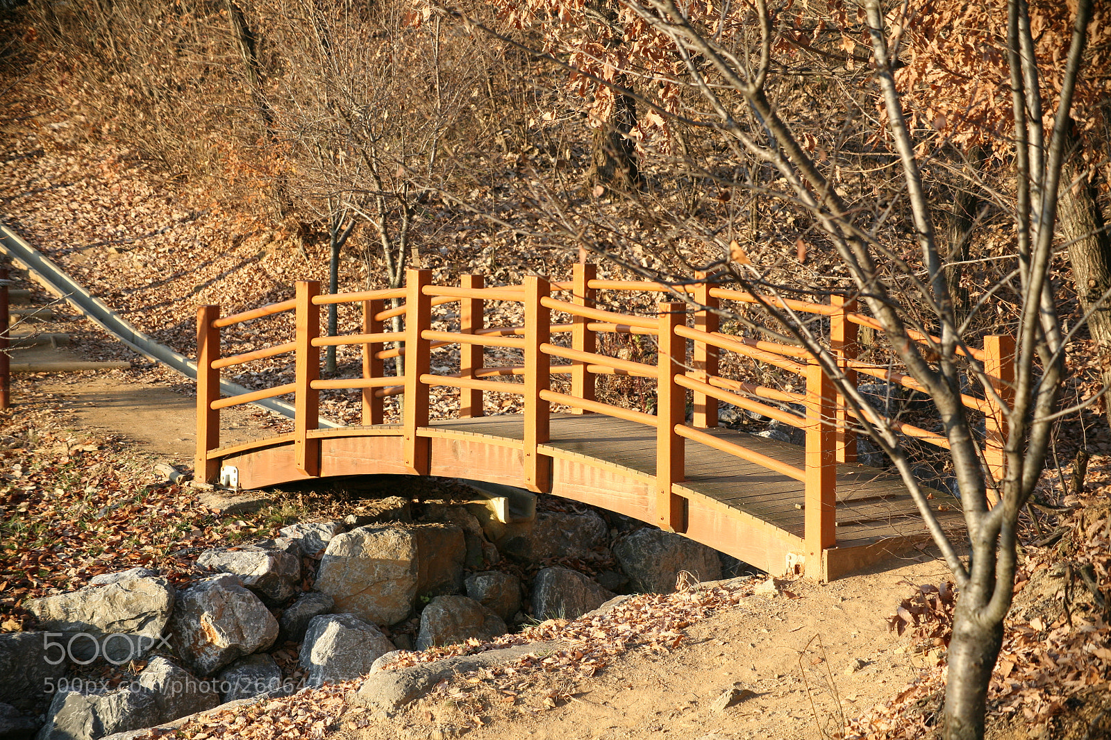 Canon EOS 5D sample photo. Img photography