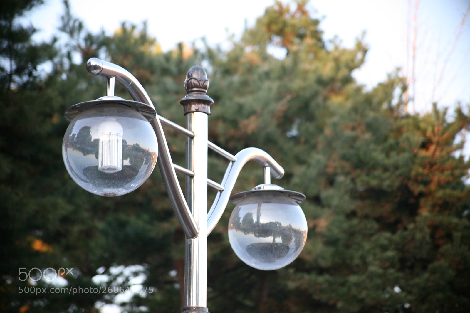 Canon EOS 5D sample photo. Nature's beauty photography