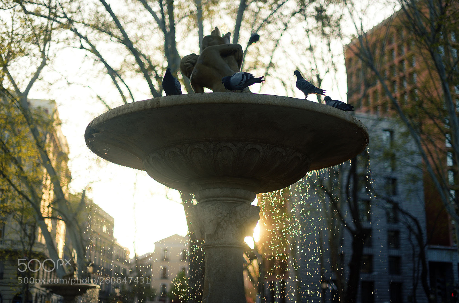 Nikon D750 sample photo. Madrid photography