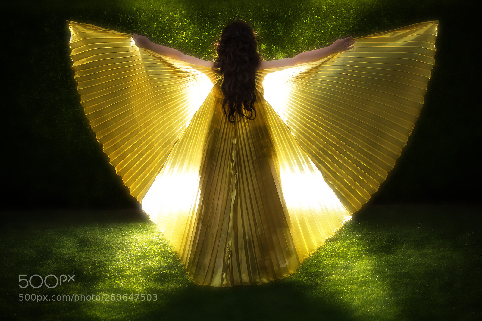 Canon EOS 6D sample photo. My butterfly. photography