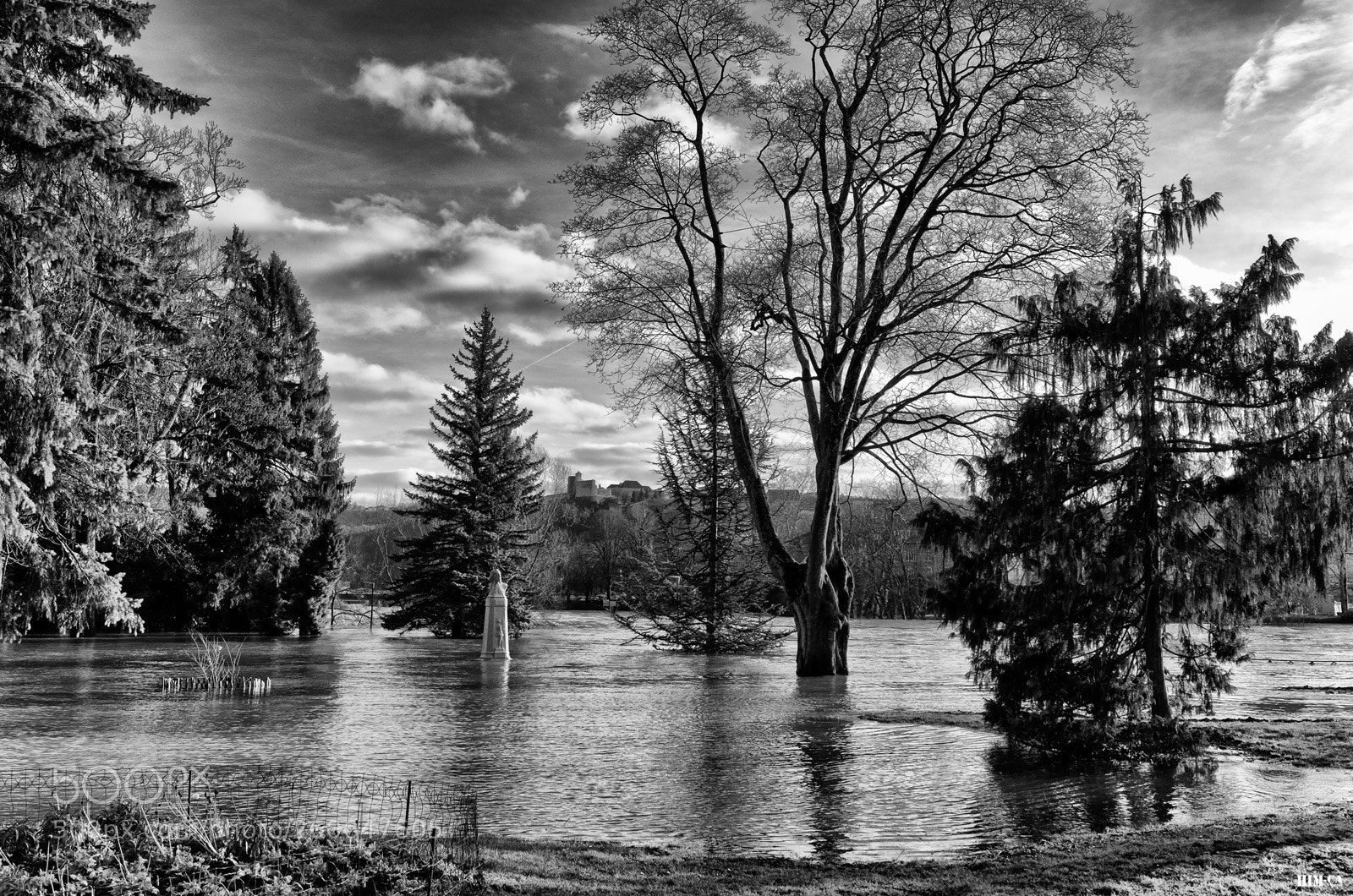 Nikon D7000 sample photo. Copie photography