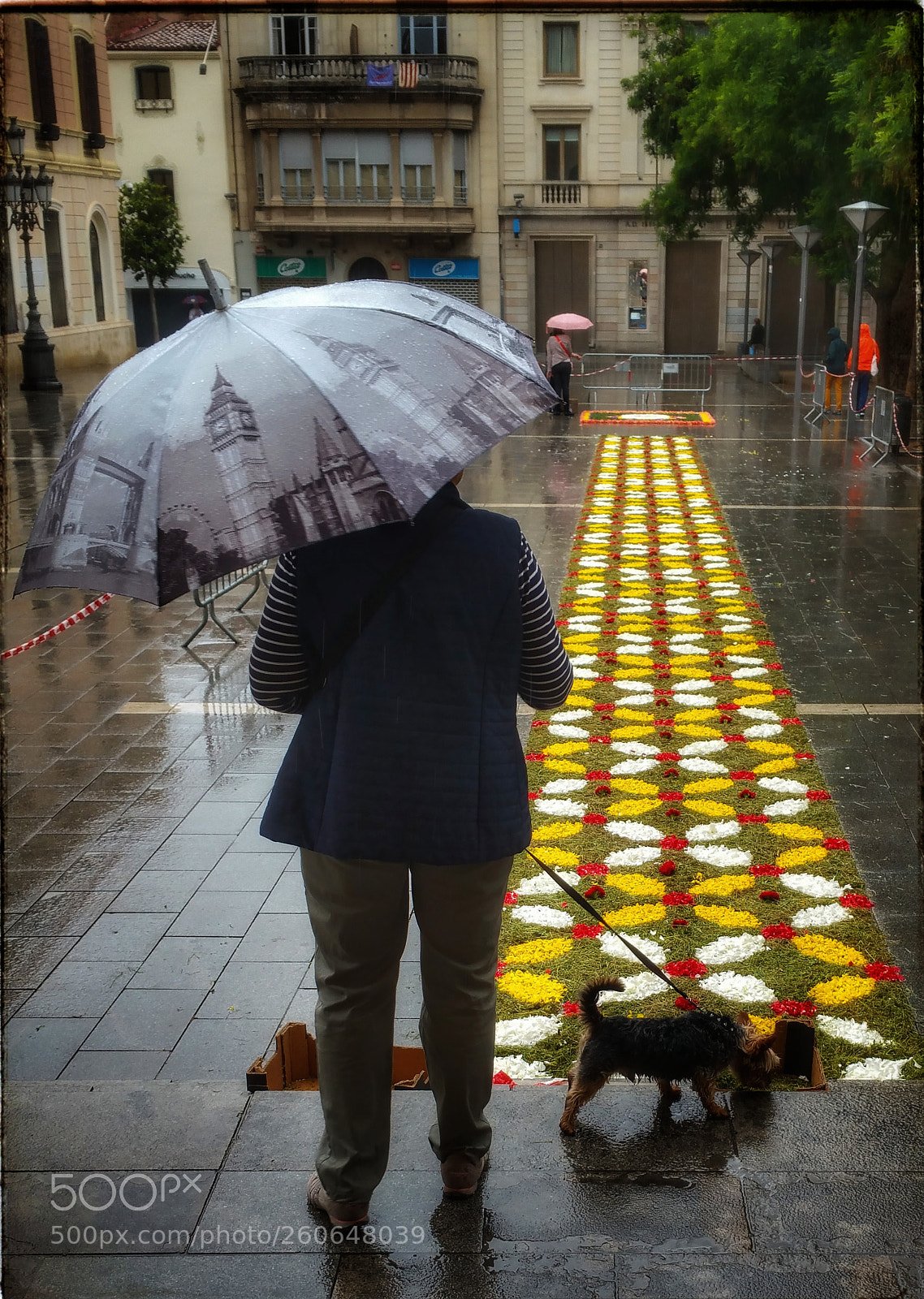 Samsung Galaxy Note4 sample photo. Mujer, perro y alfombra photography