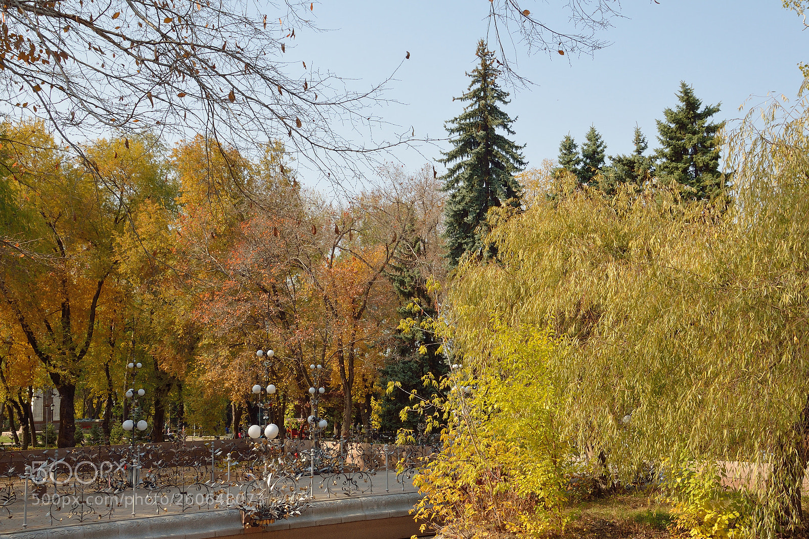 Nikon D5100 sample photo. Almaty photography