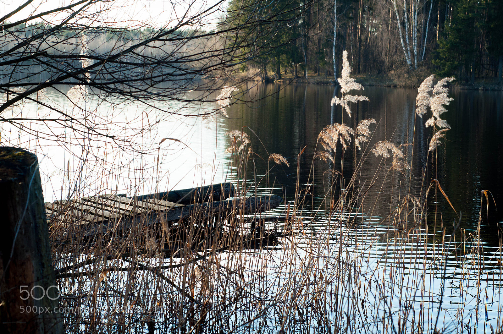Nikon D90 sample photo. . photography