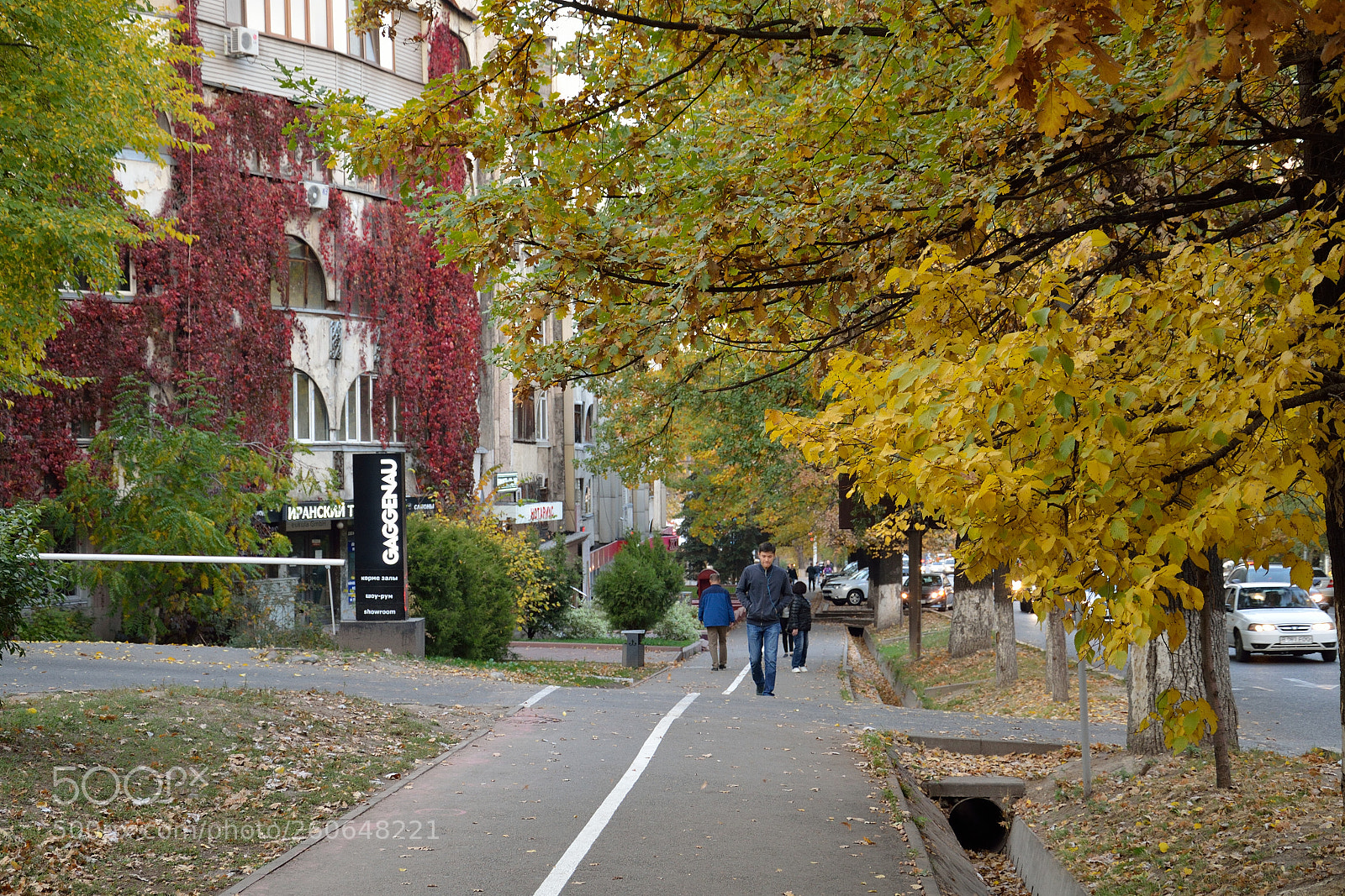 Nikon D5100 sample photo. Almaty photography