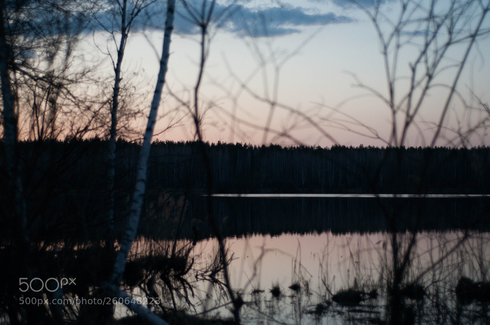 Nikon D90 sample photo. . photography