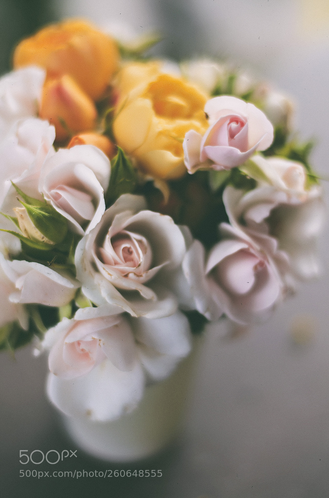 Nikon D7000 sample photo. The little roses photography
