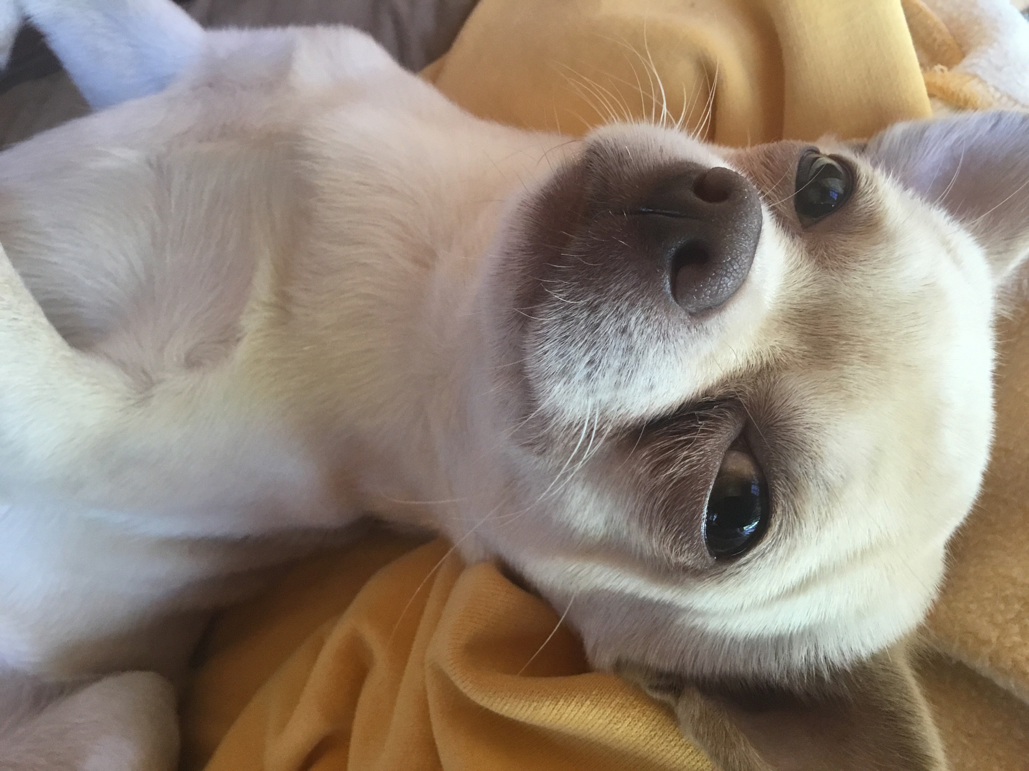 Apple iPad (5th generation) sample photo