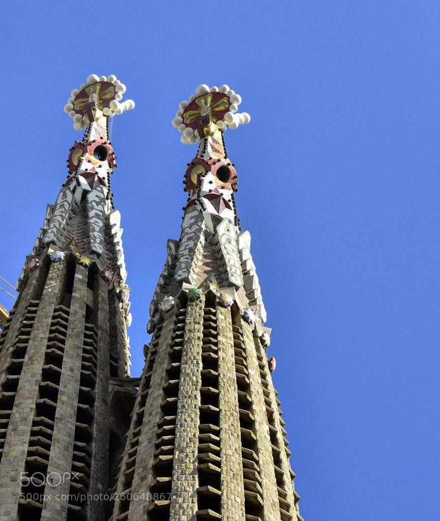 Nikon D7200 sample photo. Sagrada familia photography