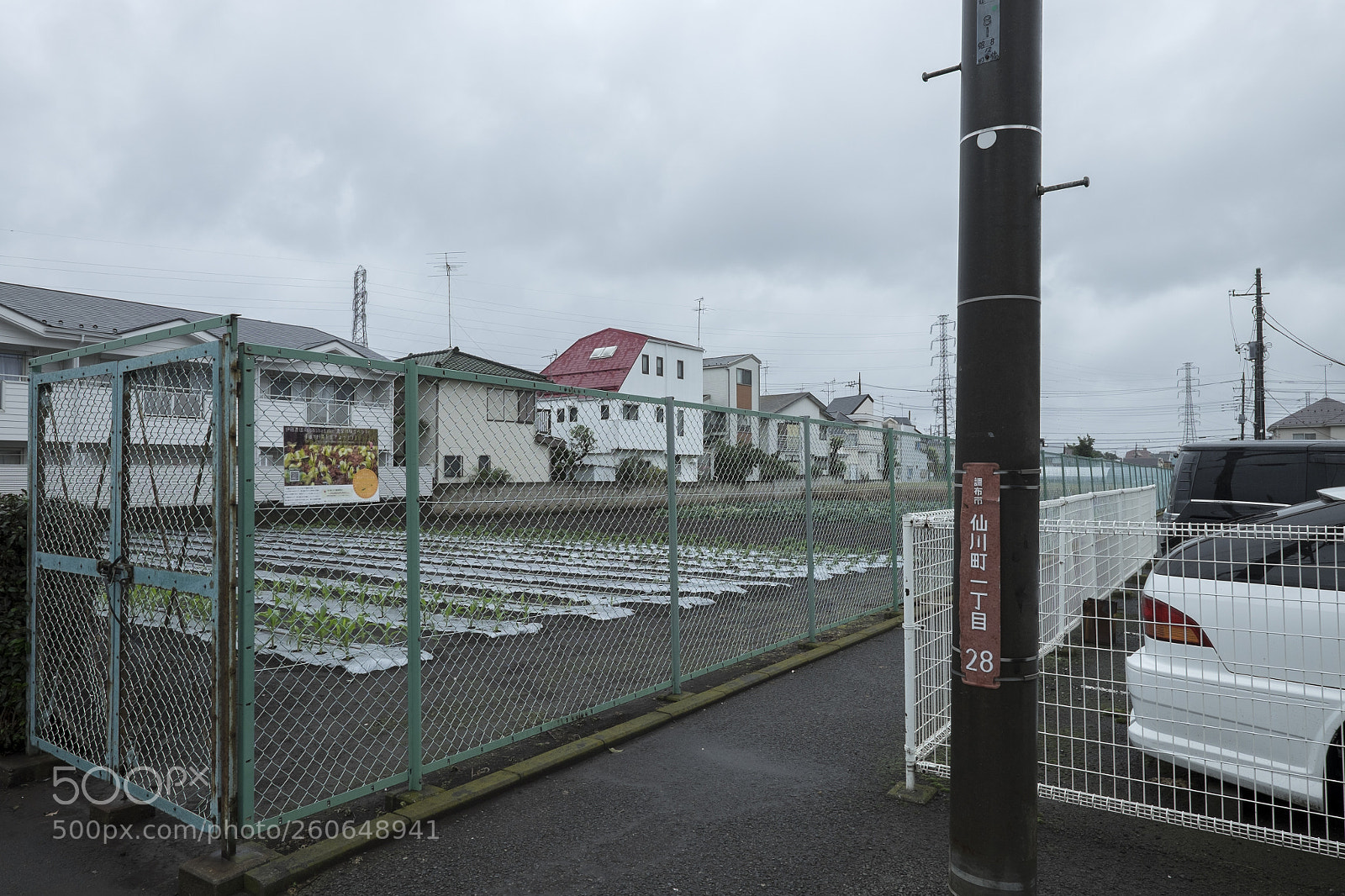 Fujifilm X-T1 sample photo. Tokyo.調布市仙川町　給田一三橋近く photography